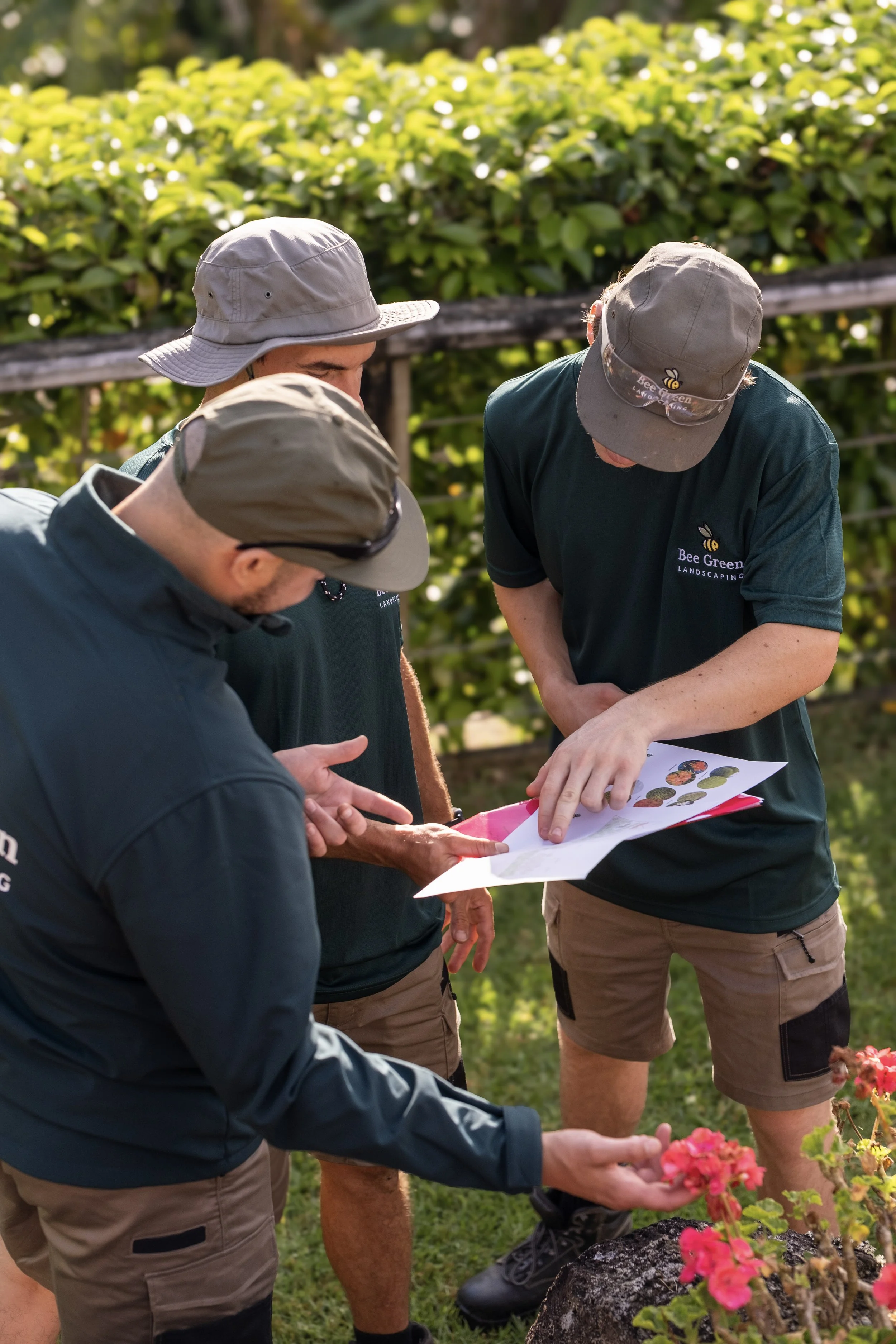 landscaping, new garden, planting plan