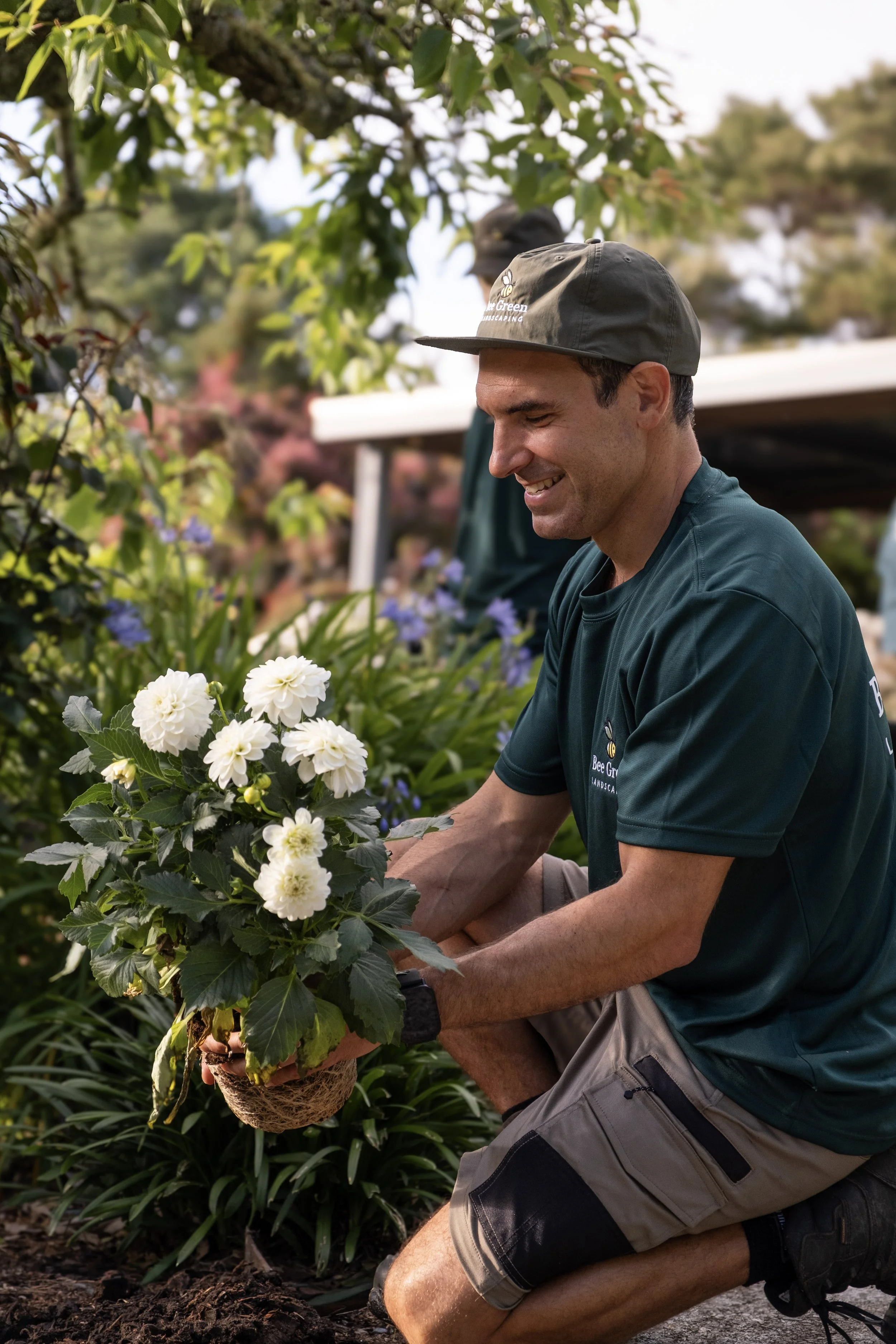 garden renewal, garden restoration, planting