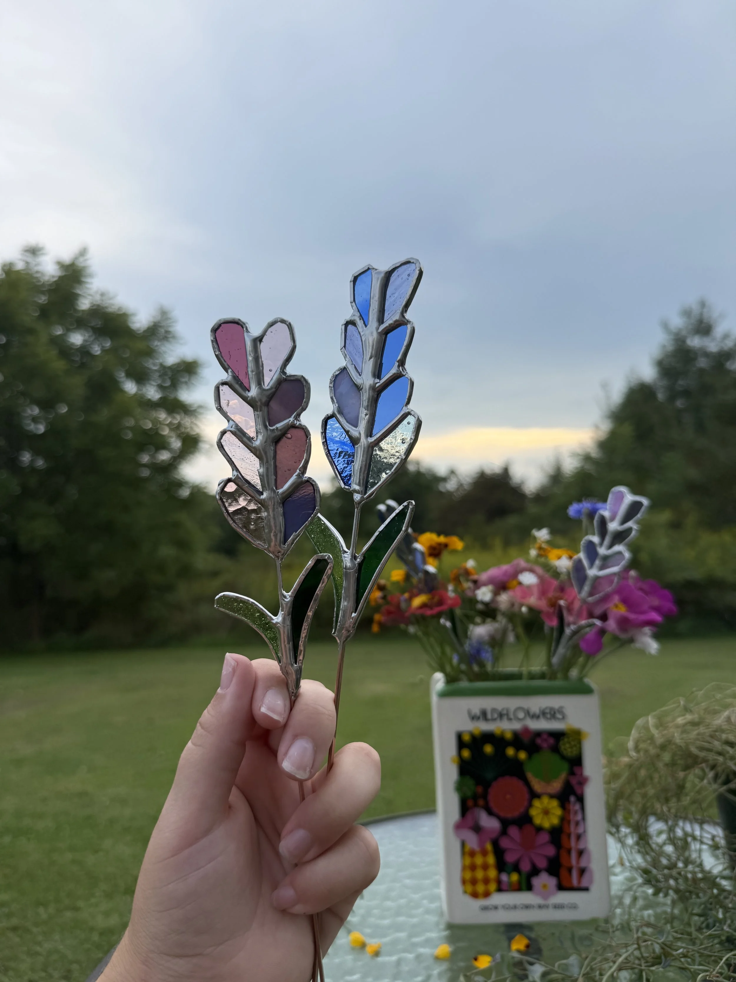 IMG_1237.jpeg