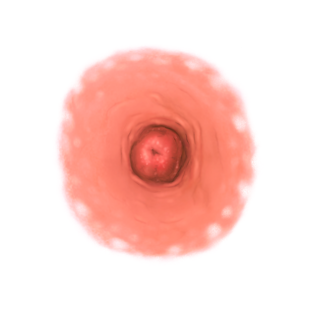 Untitled design-3.png