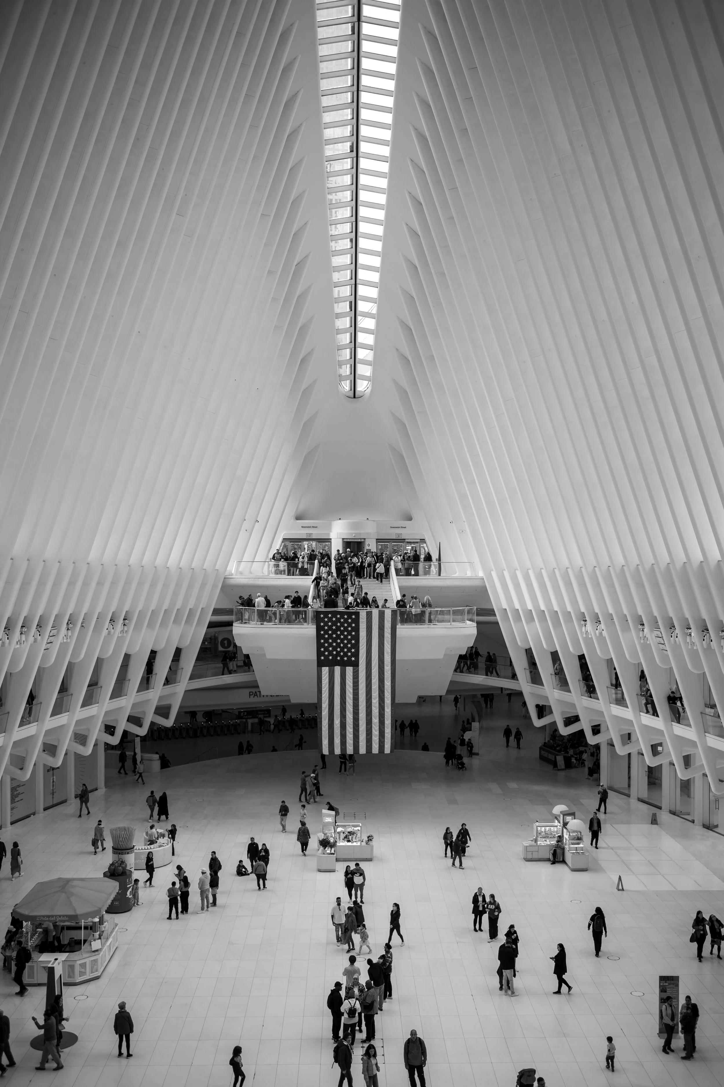 L1004029.jpg