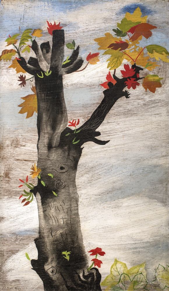 Twisted tree, 1940, Oil on board, 20 x 12 inches