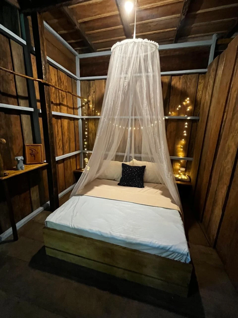 PHOTO-2025-03-19-09-55-40 6.jpg