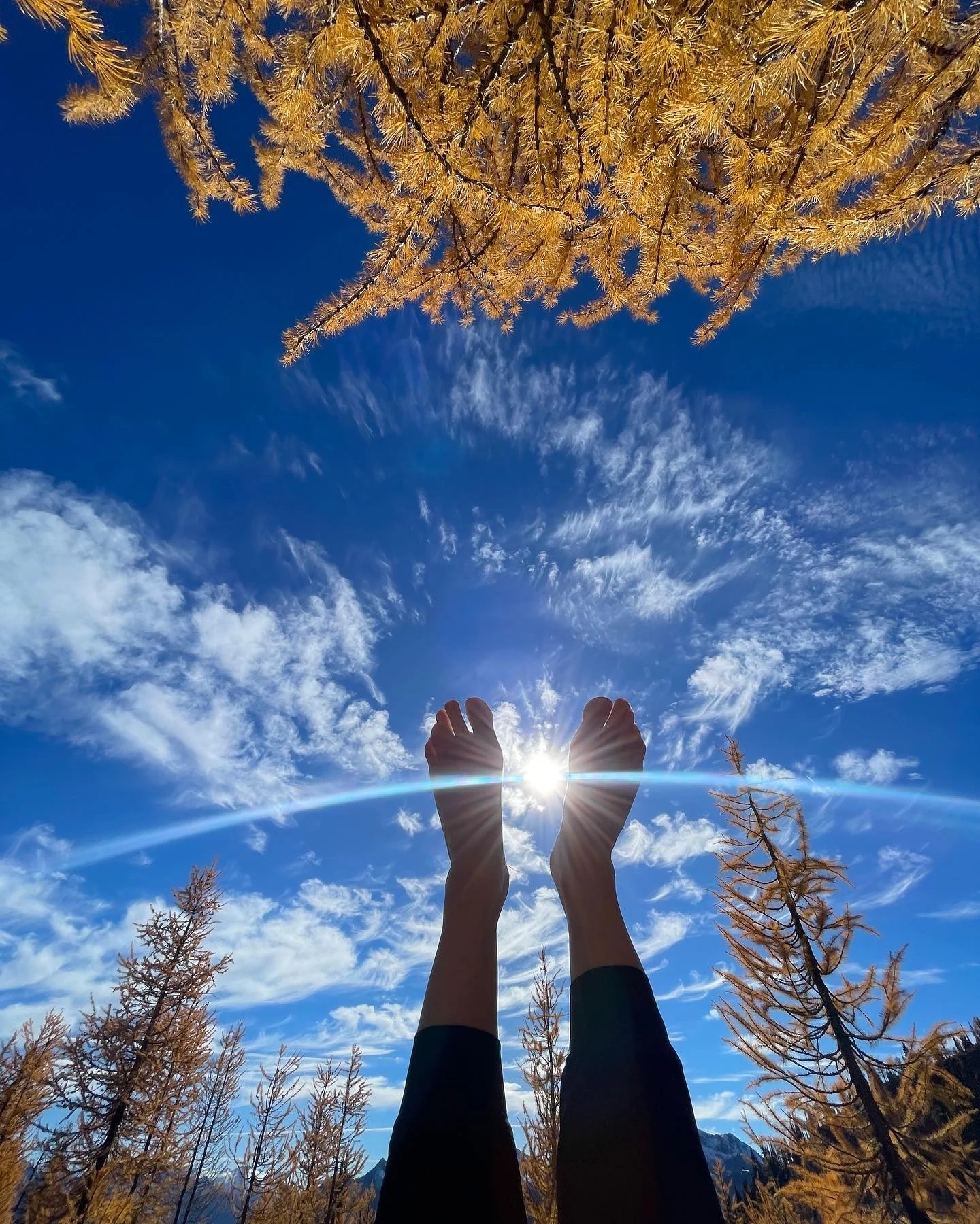 Fall — Release