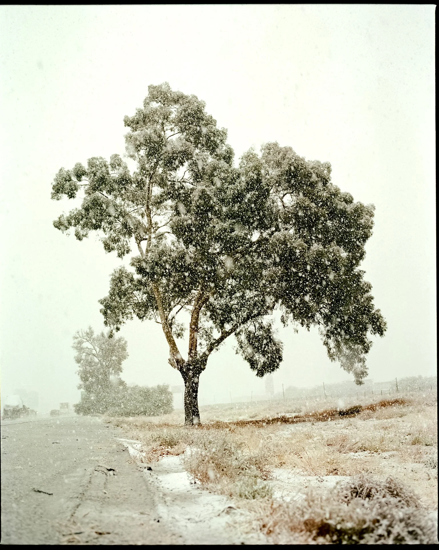 analog film photograph – Sam Grant Productions, Los Angeles film photographer