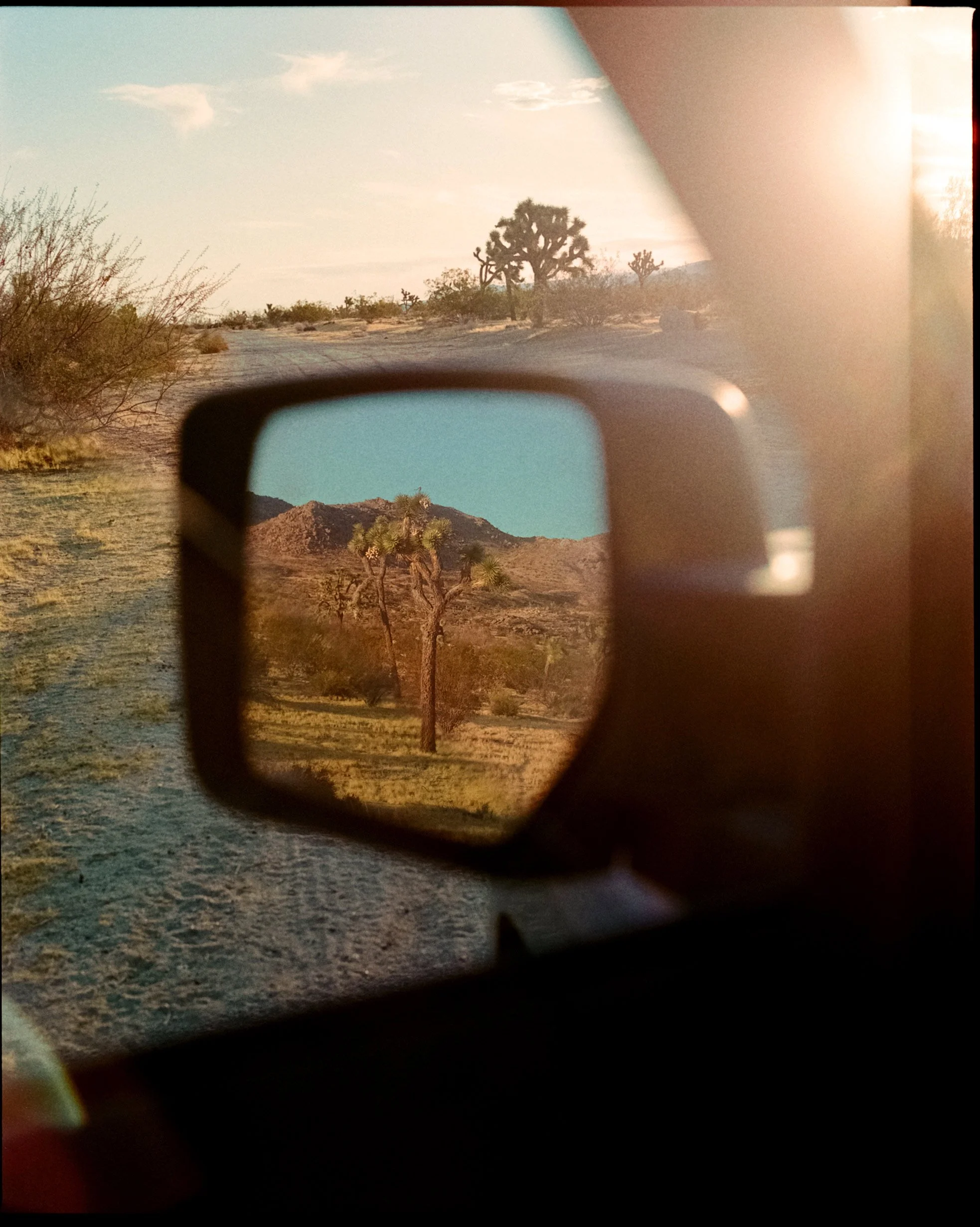 analog film photograph – Sam Grant Productions, Los Angeles film photographer
