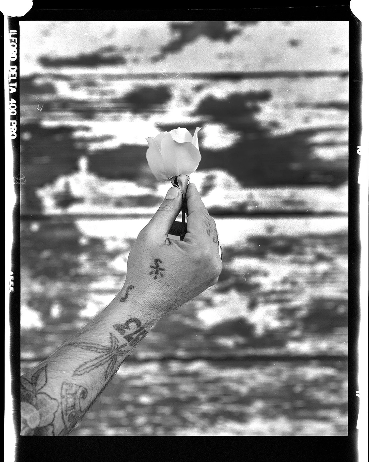Analog film photography – Los Angeles commercial photographer Sam Grant Productions
