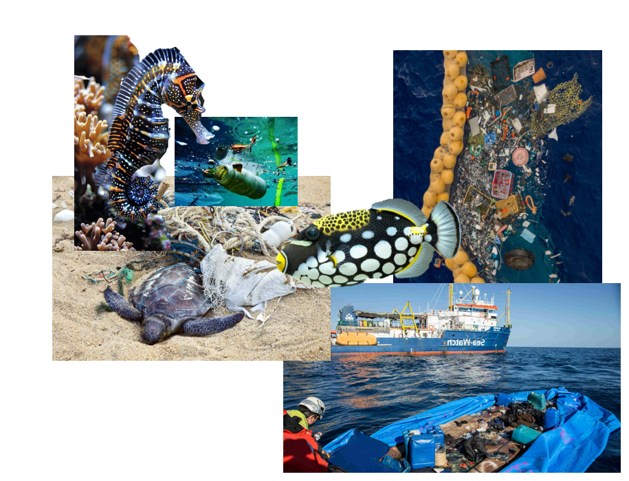Ocean moodboard.png