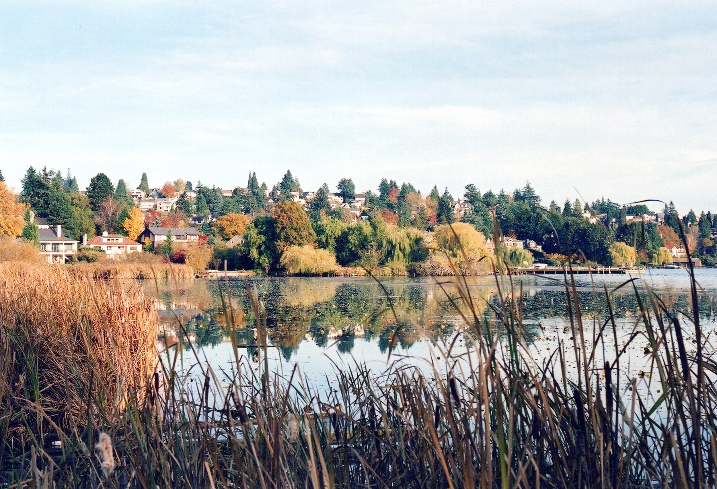 “Around the Marsh"