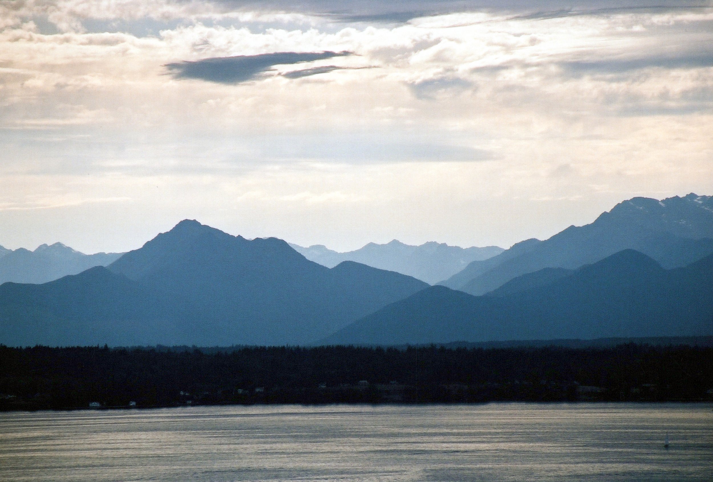 “Distant Landscapes"