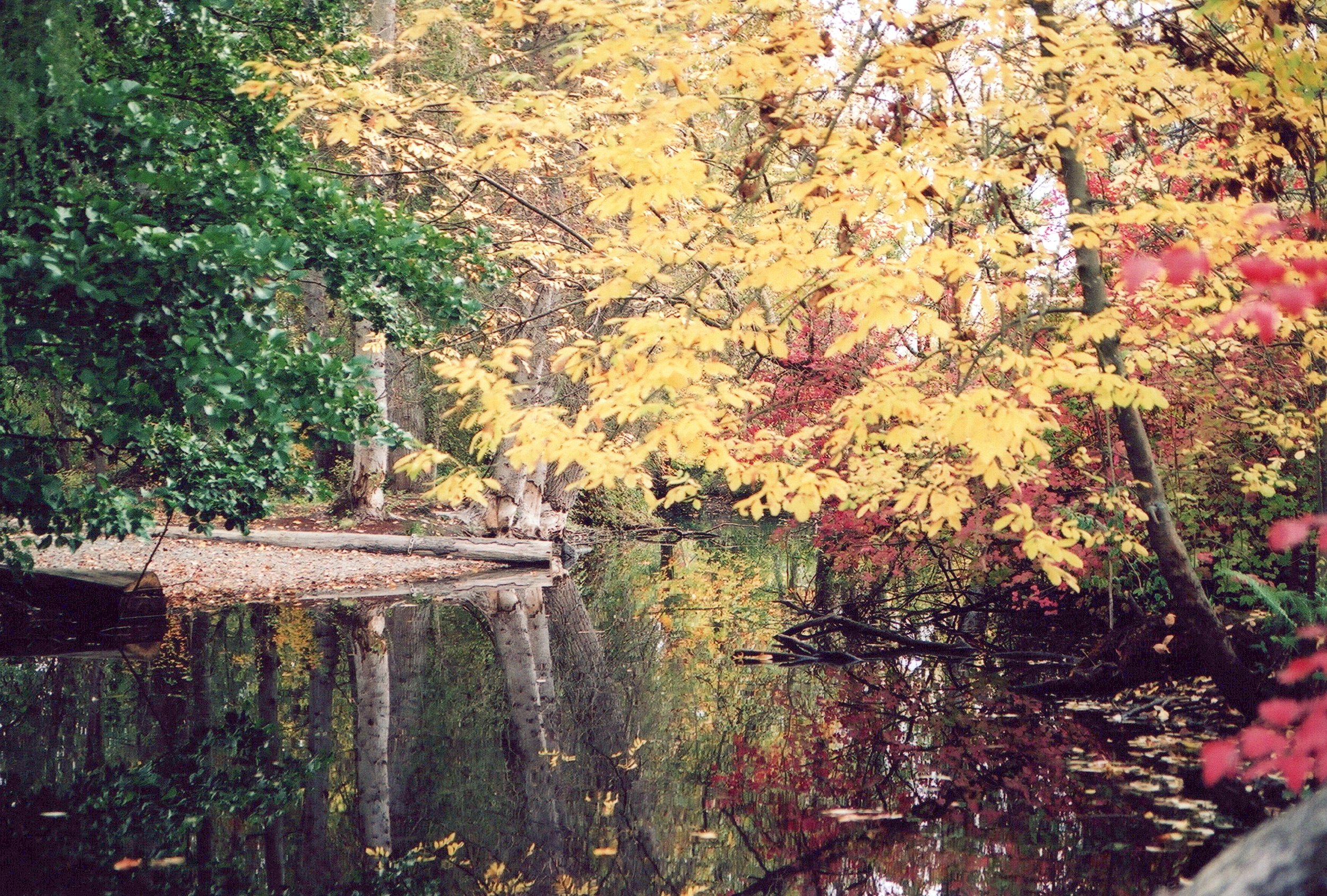 “Landscape - Close"