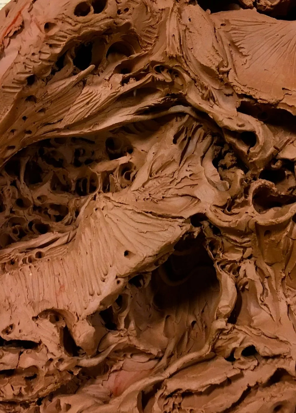 The Labyrinth_bisected heart detail.jpg
