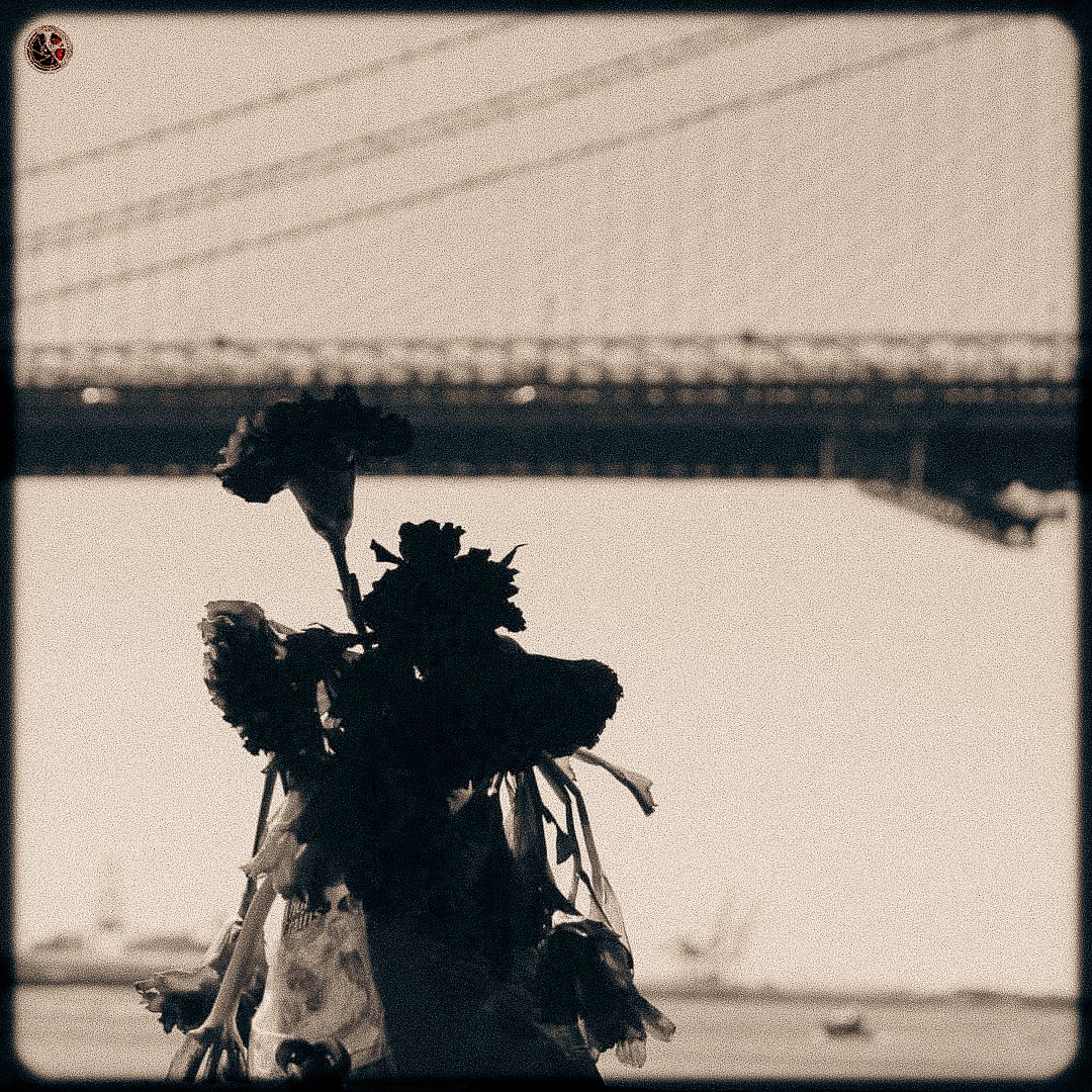 Silhouette of deceased flowers against a sky with a bridge in the background.