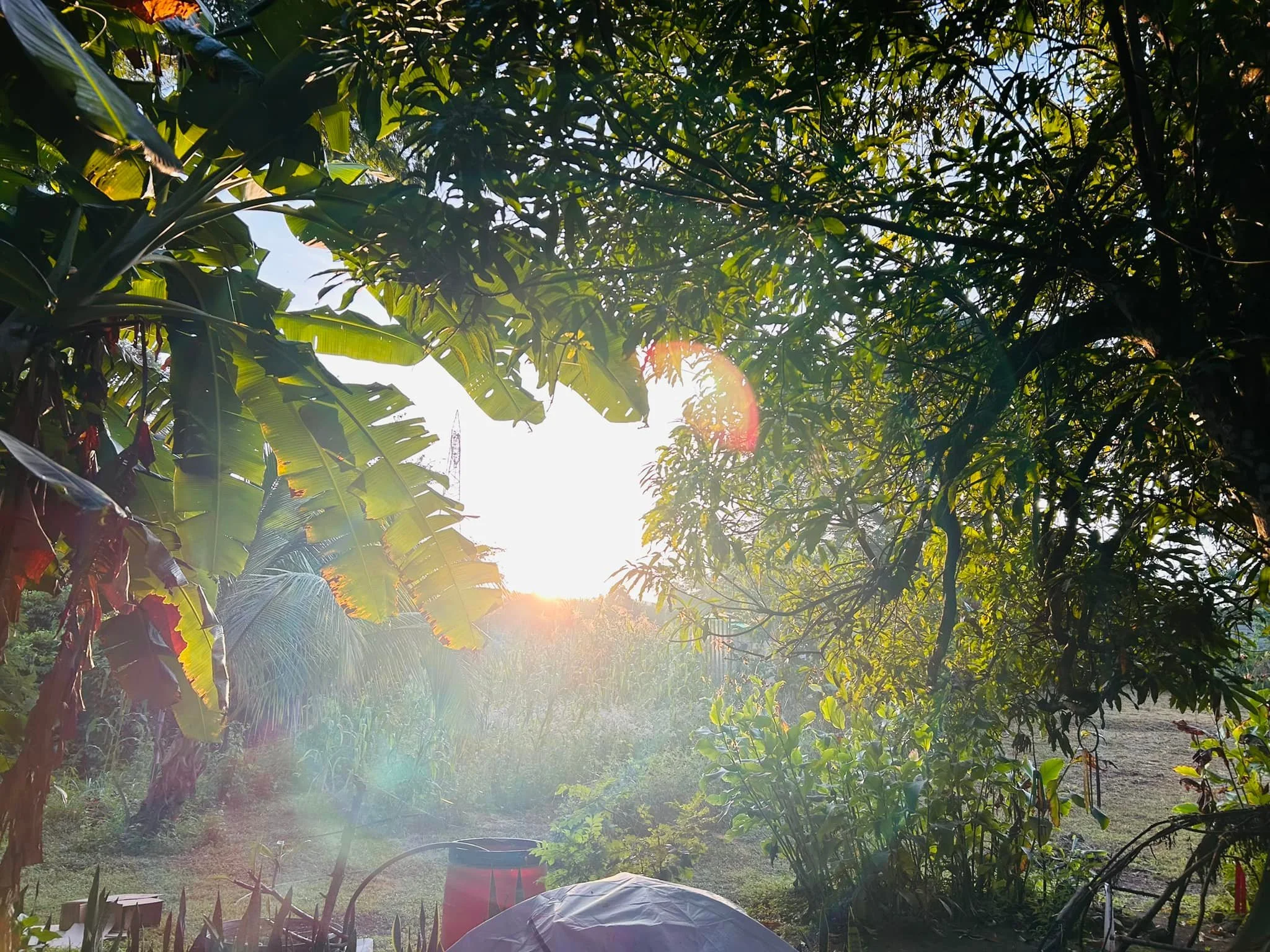 Feeling an overwhelming sense of gratitude as I bathed outdoors in the well water this morning. 🌿💧 It felt so alive, so deeply connected to the earth and everything around me. Water is life, it nourishes not only our bodies but our souls, reminding