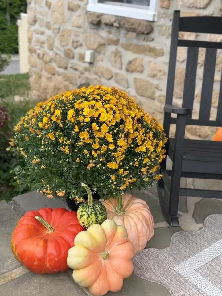 Meet our Harvest Hues package! ✨ 

This is the perfect choice for creating a lush, show-stopping display that feels both abundant and beautifully balanced.

For this lovely home, we brought in a festive collection of pumpkins, gourds, and fresh fall 