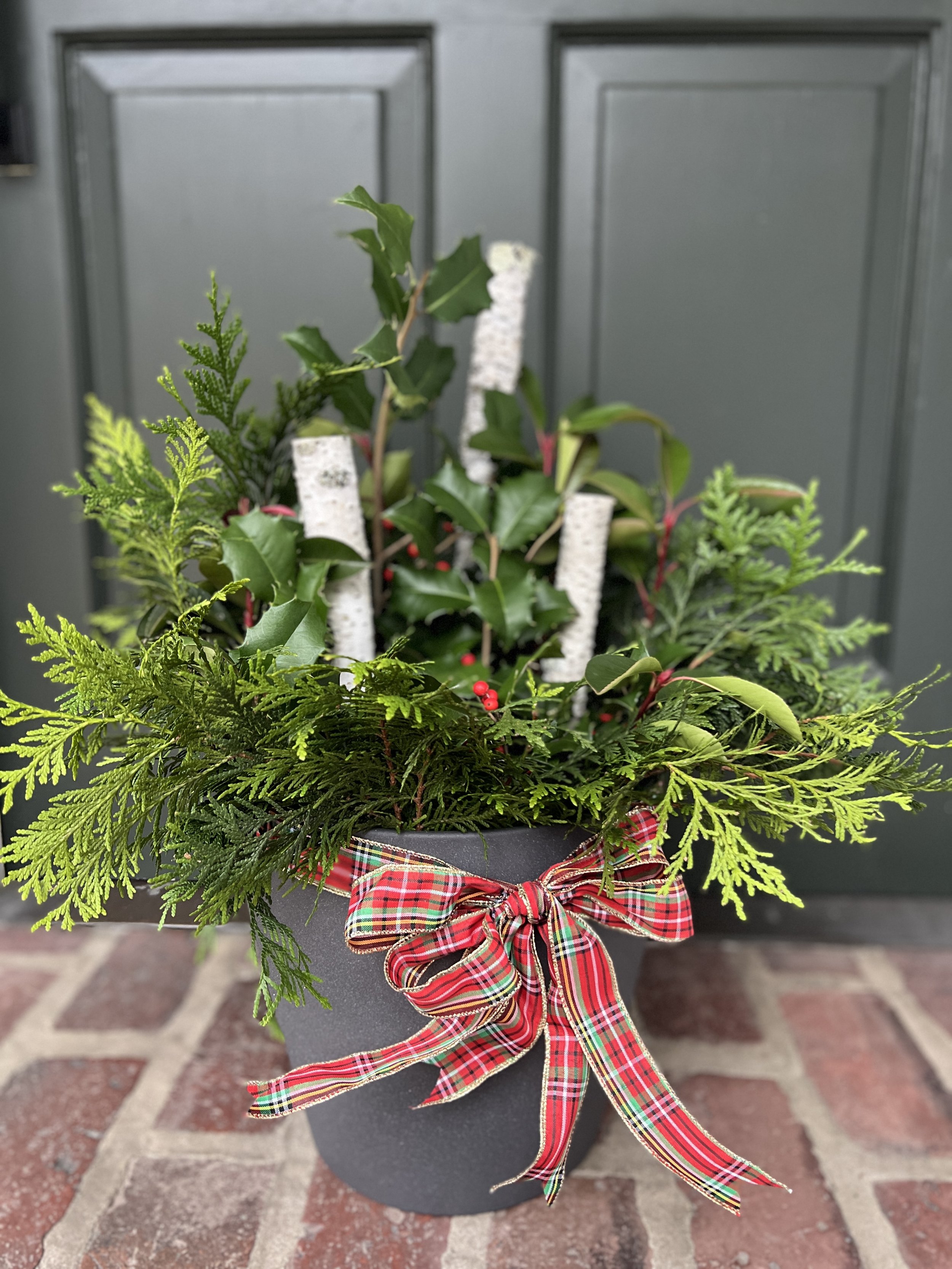 Holiday Birch and Holly Planter