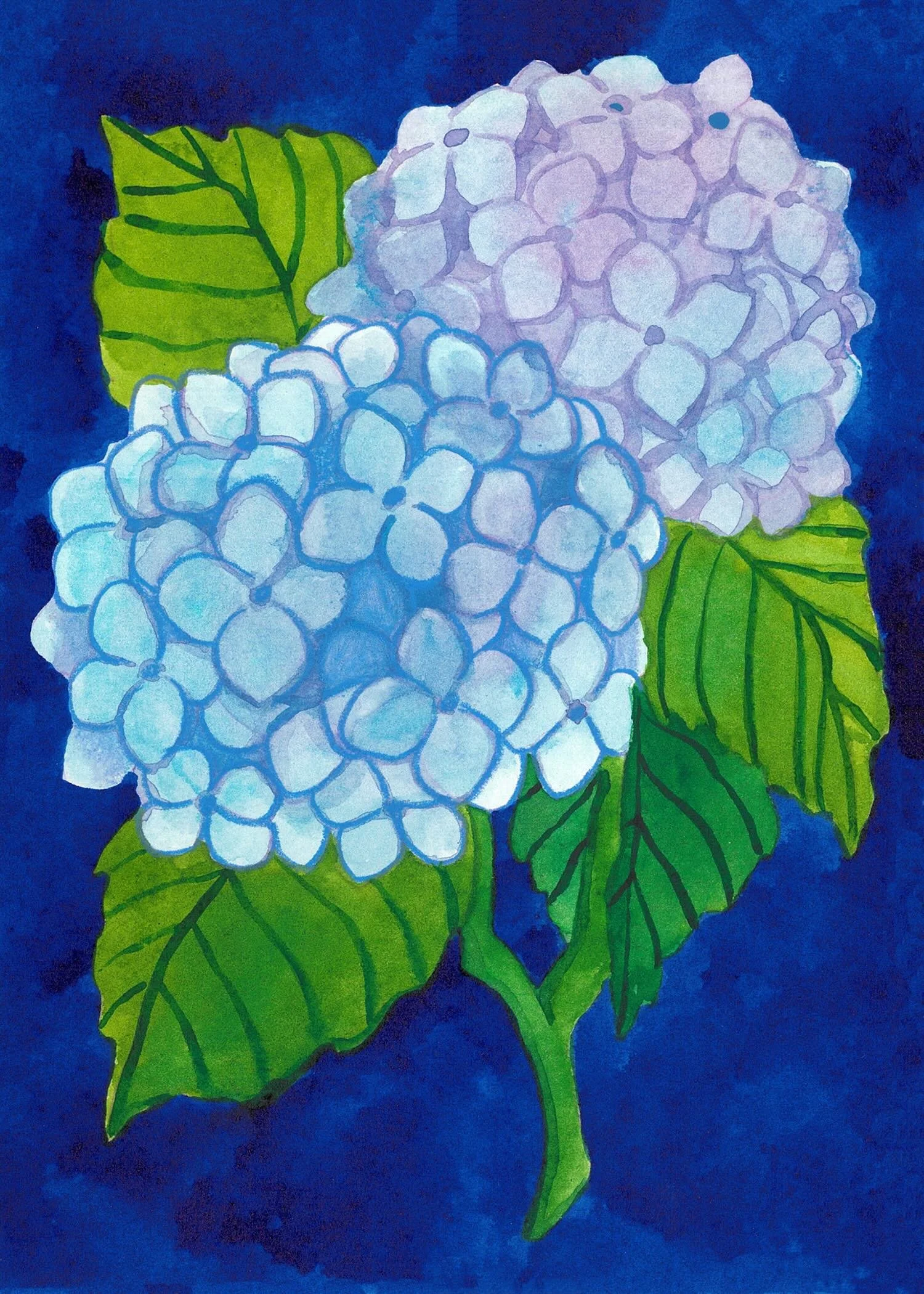 hydrangea-web.jpg