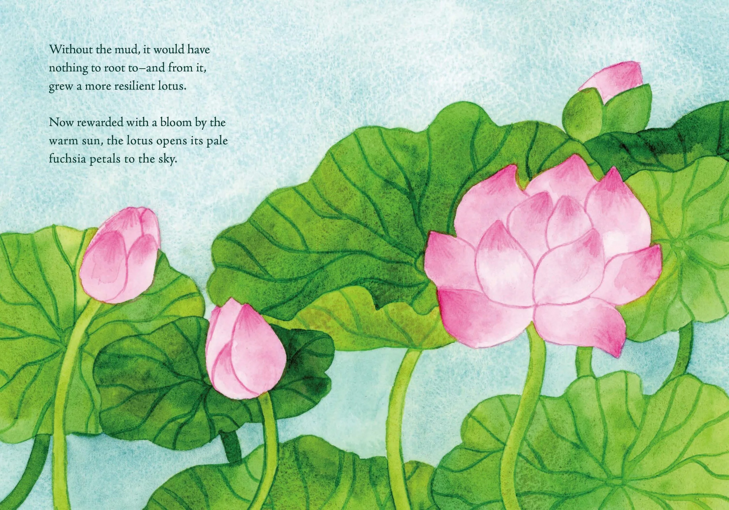 The Lotus Mini Book