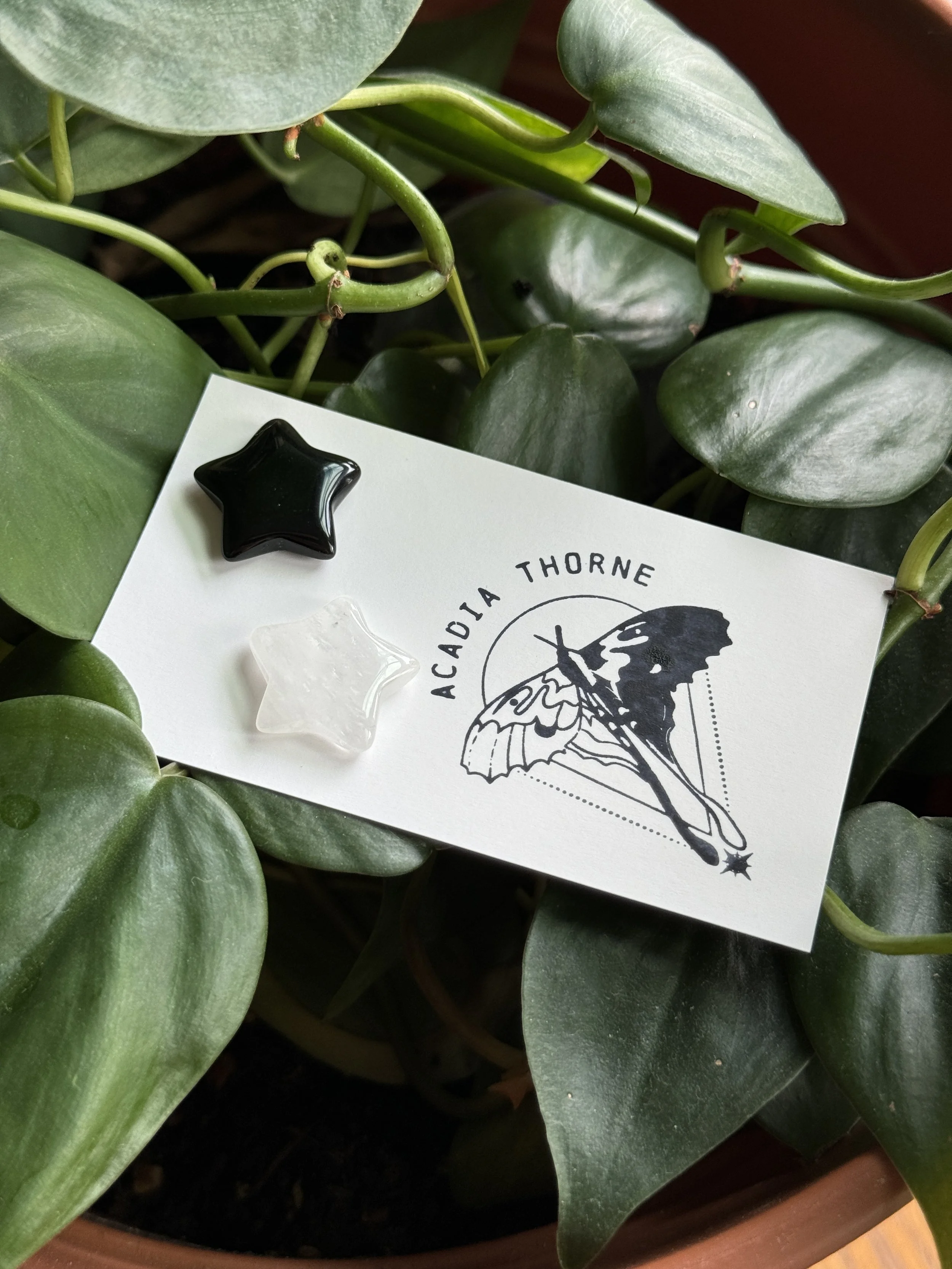 A white card with the text 'ACACIA THORNE' and a butterfly illustration, placed among green heart-shaped leaves. There are two star-shaped objects, one black and one clear, on the card.