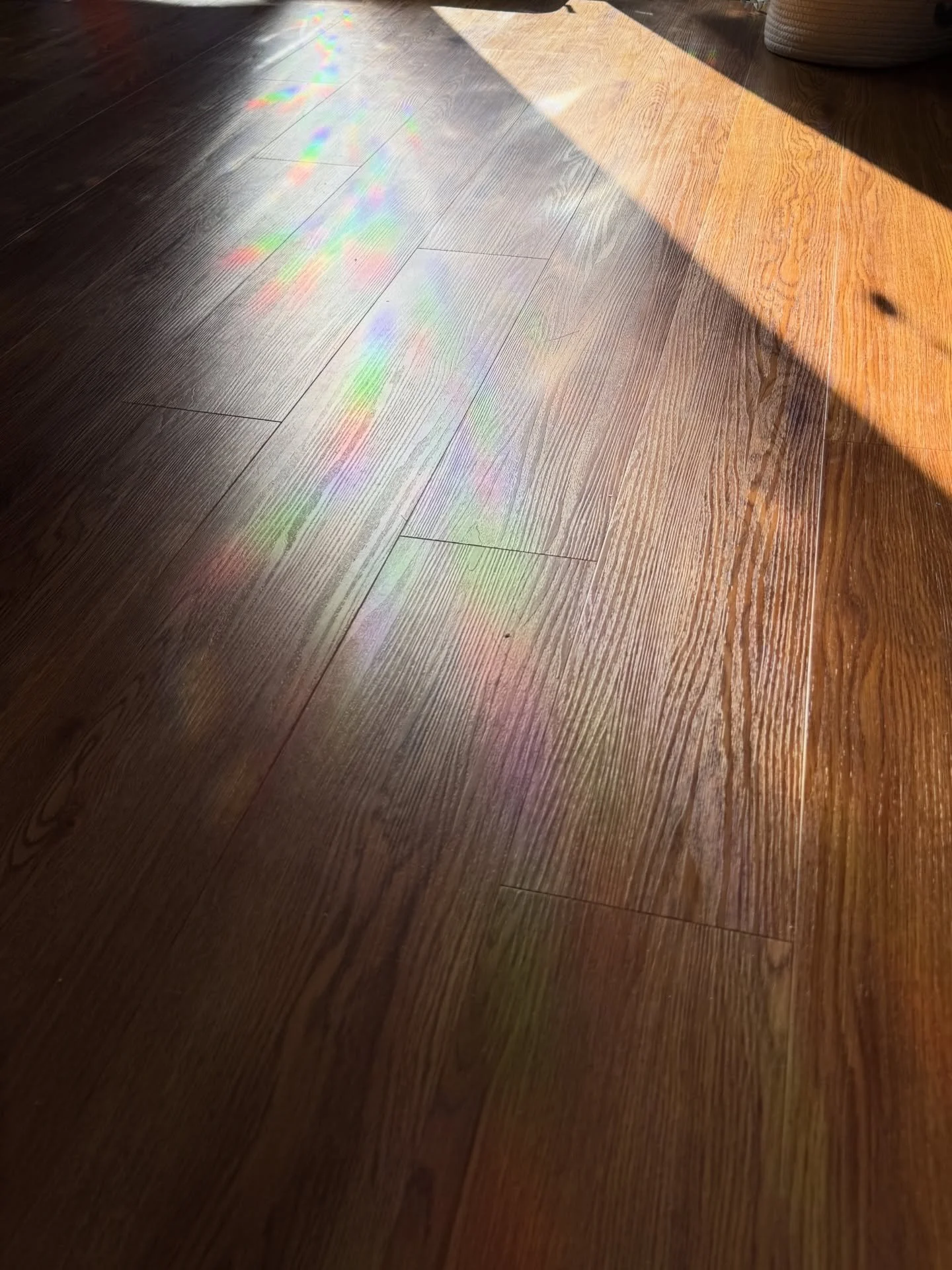 an ongoing scrapbook of glimmers