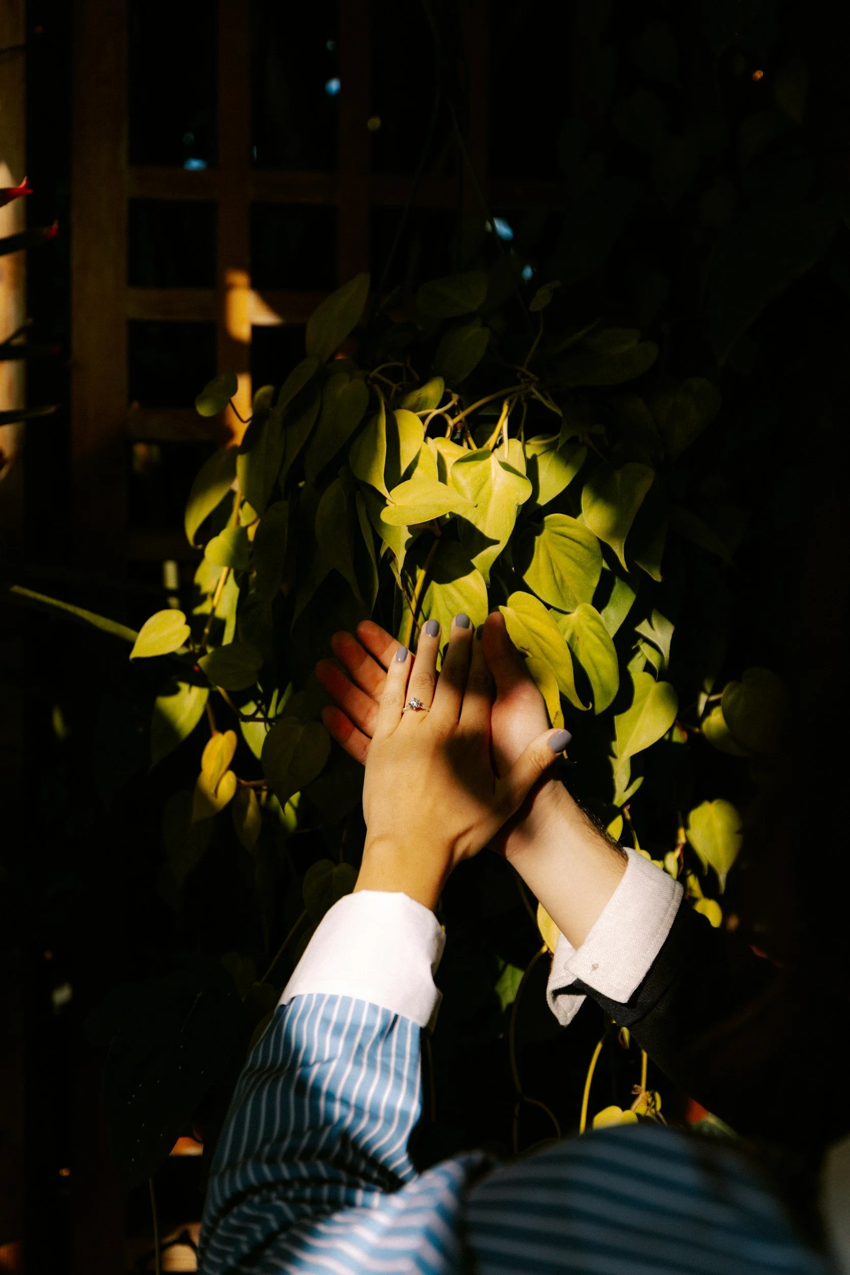 On joy, after survival mode