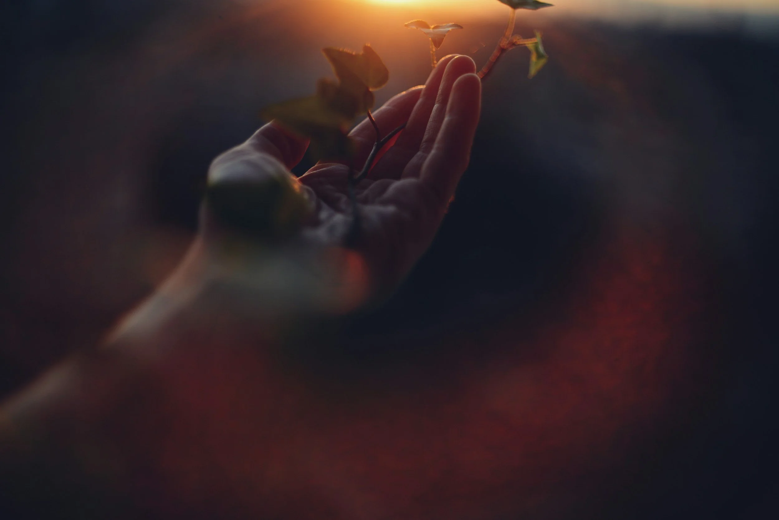 On play and why I put things in closets