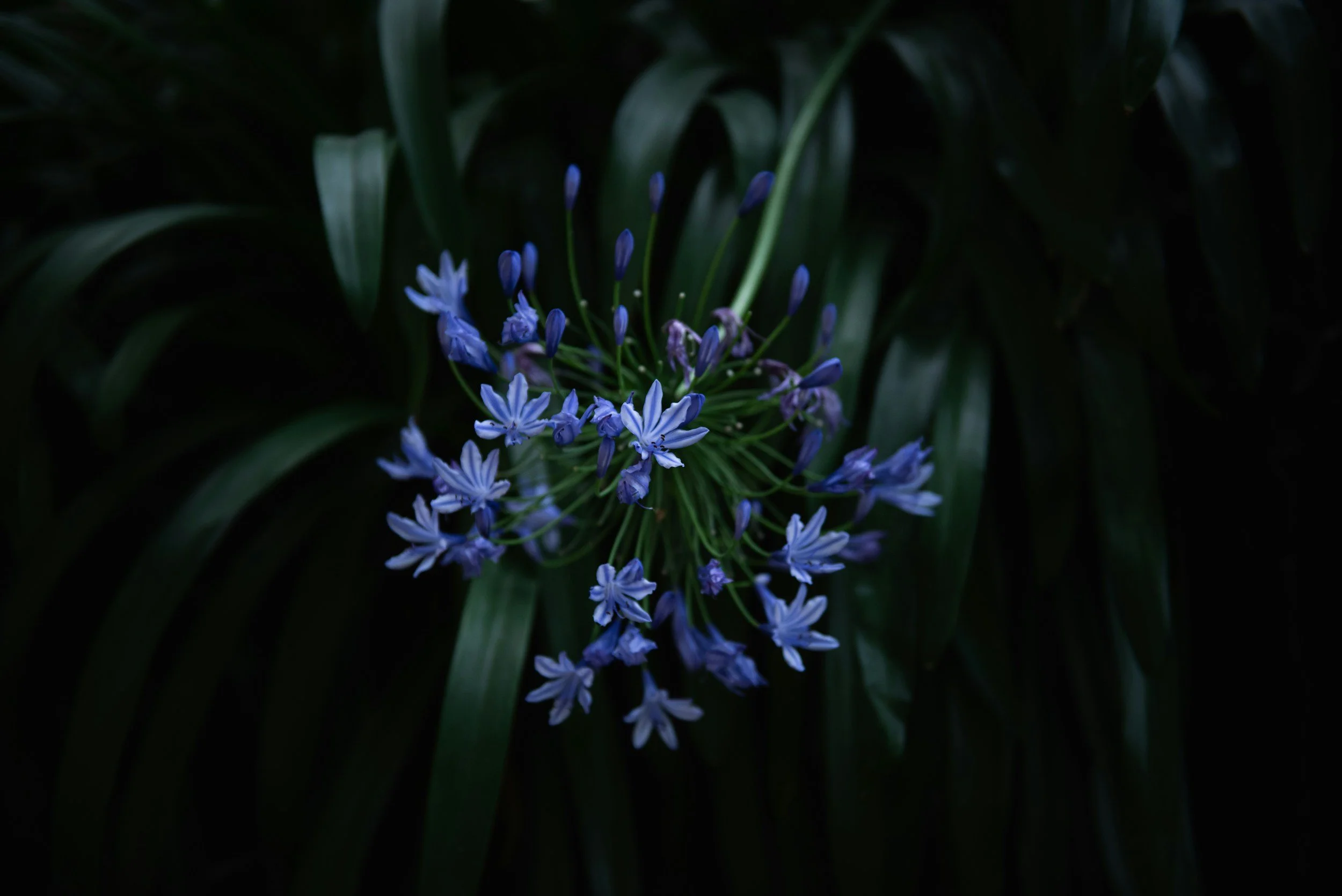 Where did I come from?