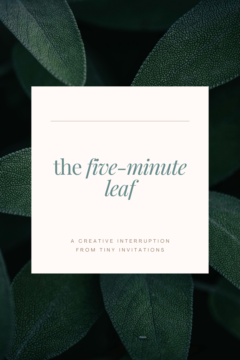The Five-Minute Leaf: A Creative Interruption for People Who Can’t Draw