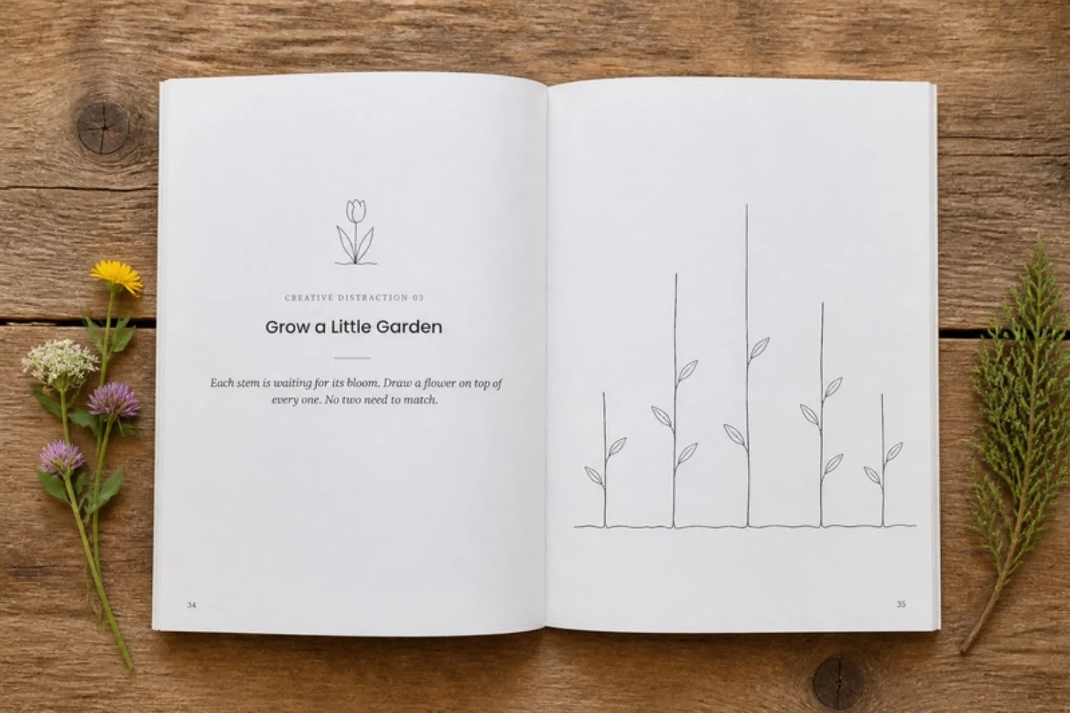 creative-grow-a-little-garden.jpg