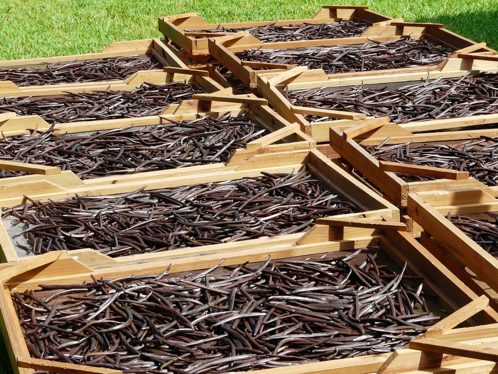 drying-114135_1920.jpg