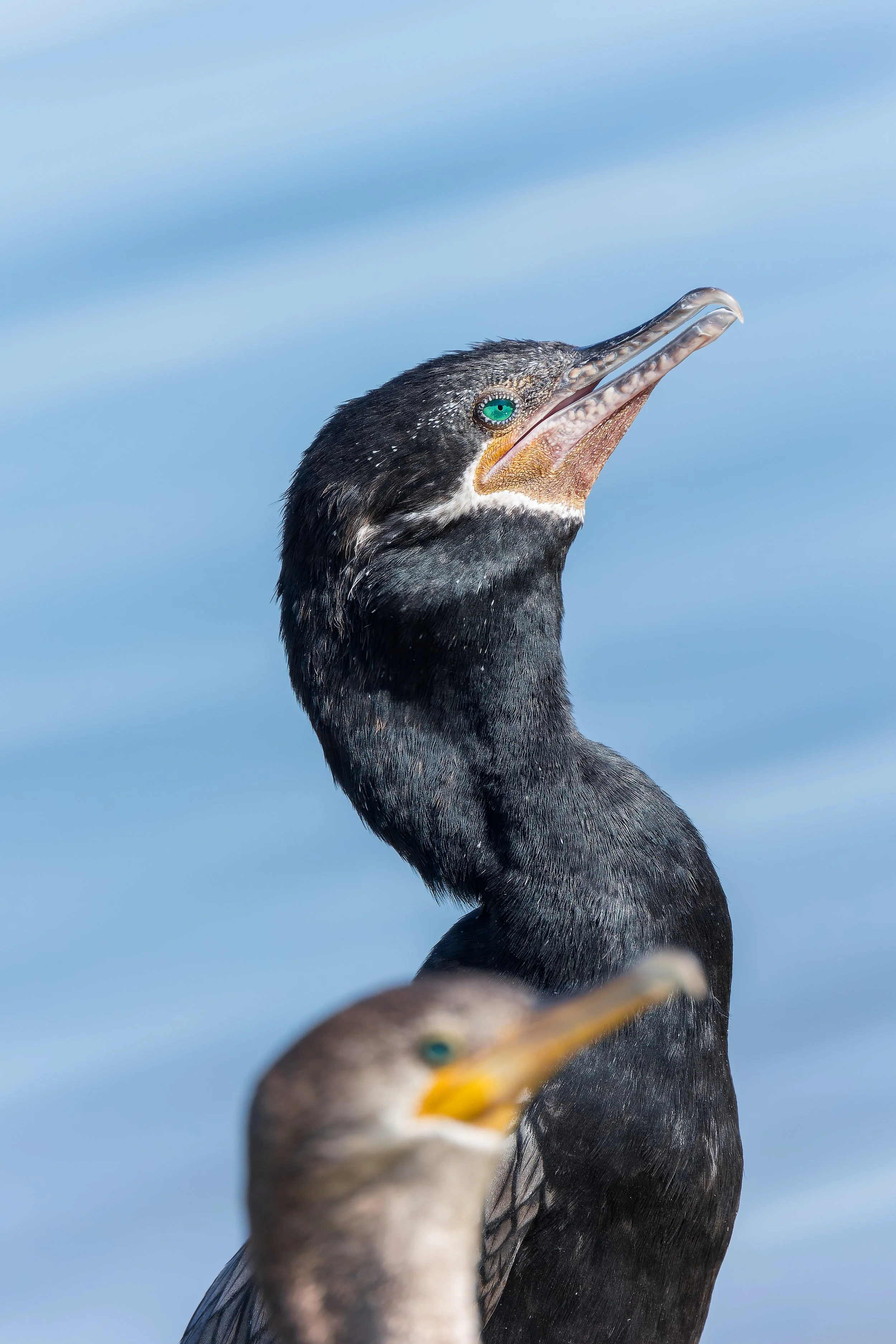 20210708- Lakeside Park-2240-CR3_DxO_DeepPRIME.jpg