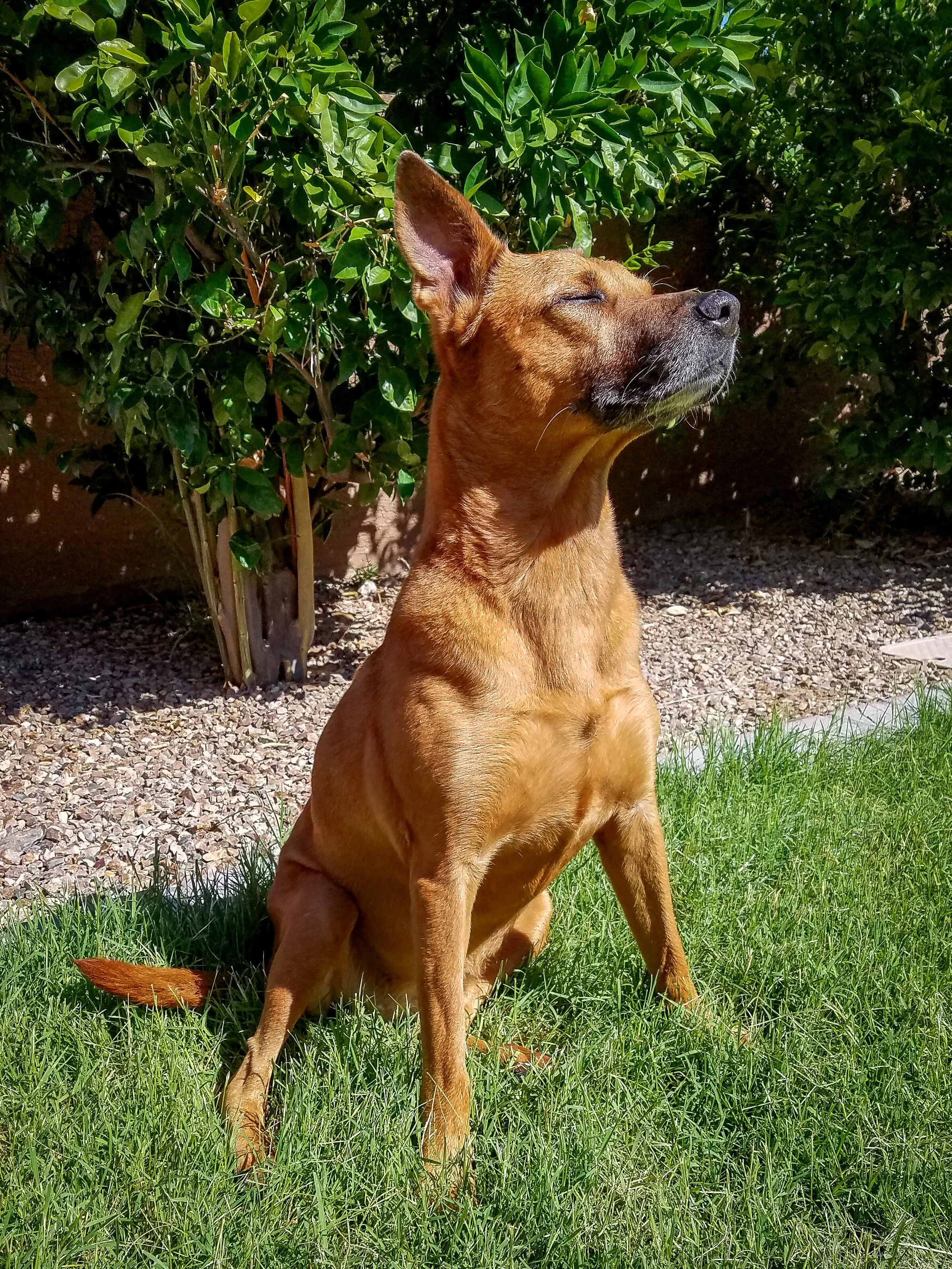 2016- Nalani-091026.jpg