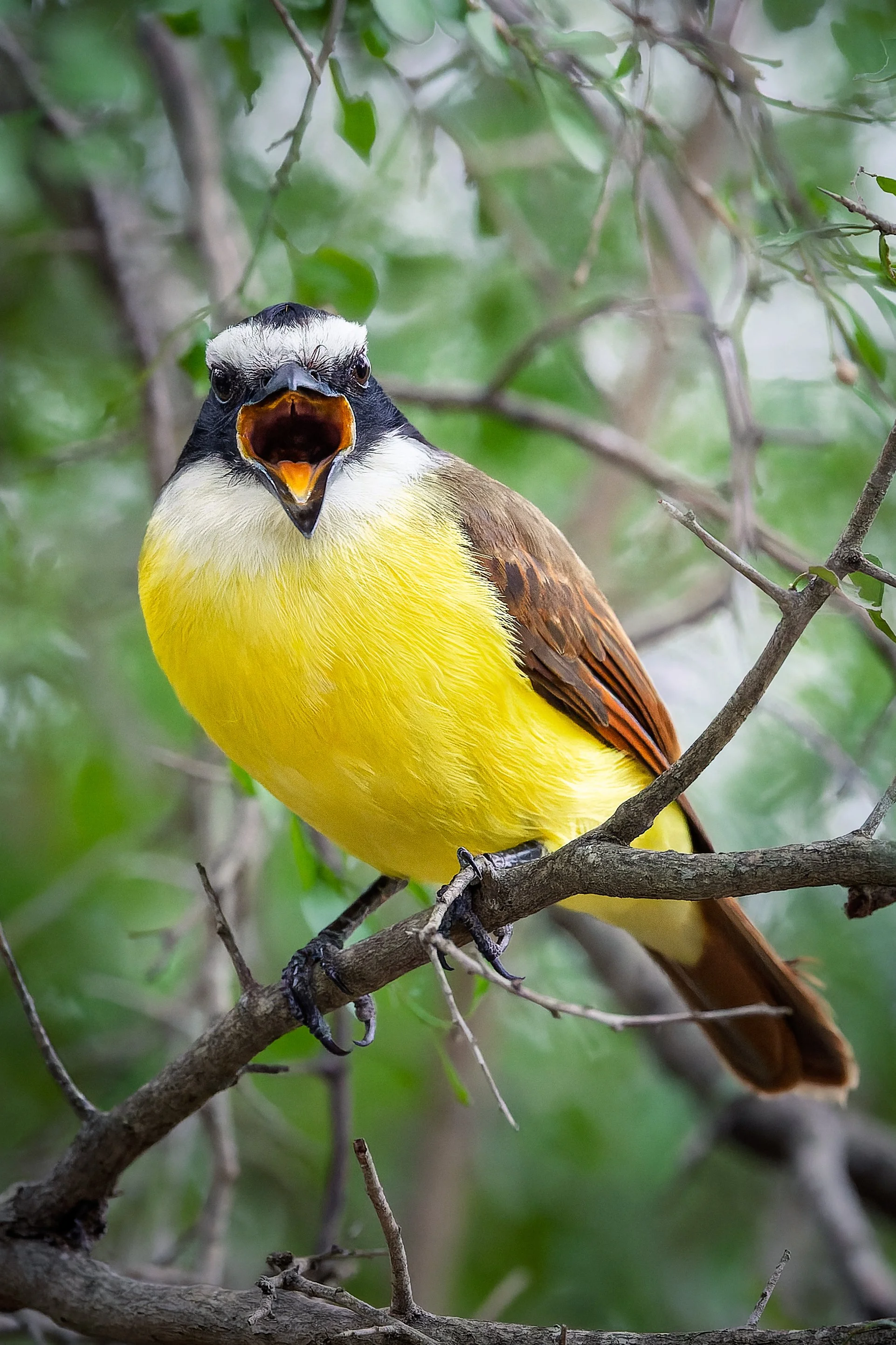 20250101- Bentsen Rio Grande Valley SP-7147-CR3_DxO_DeepPRIME.jpg