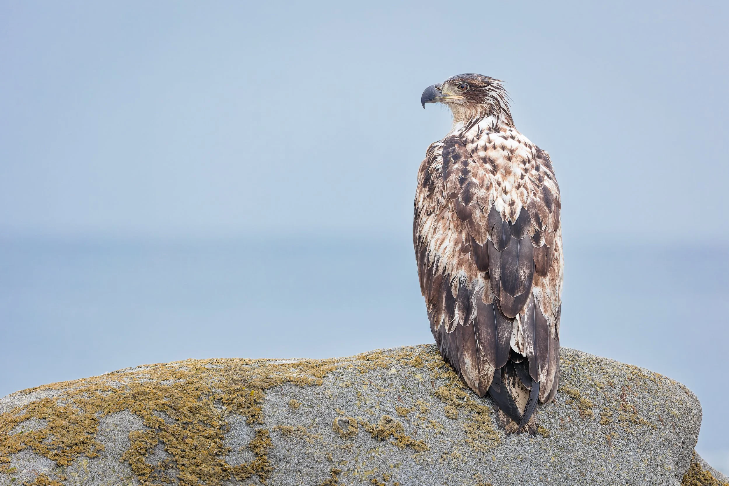 20240712- Anchor Point-2206-CR3_DxO_DeepPRIME.jpg