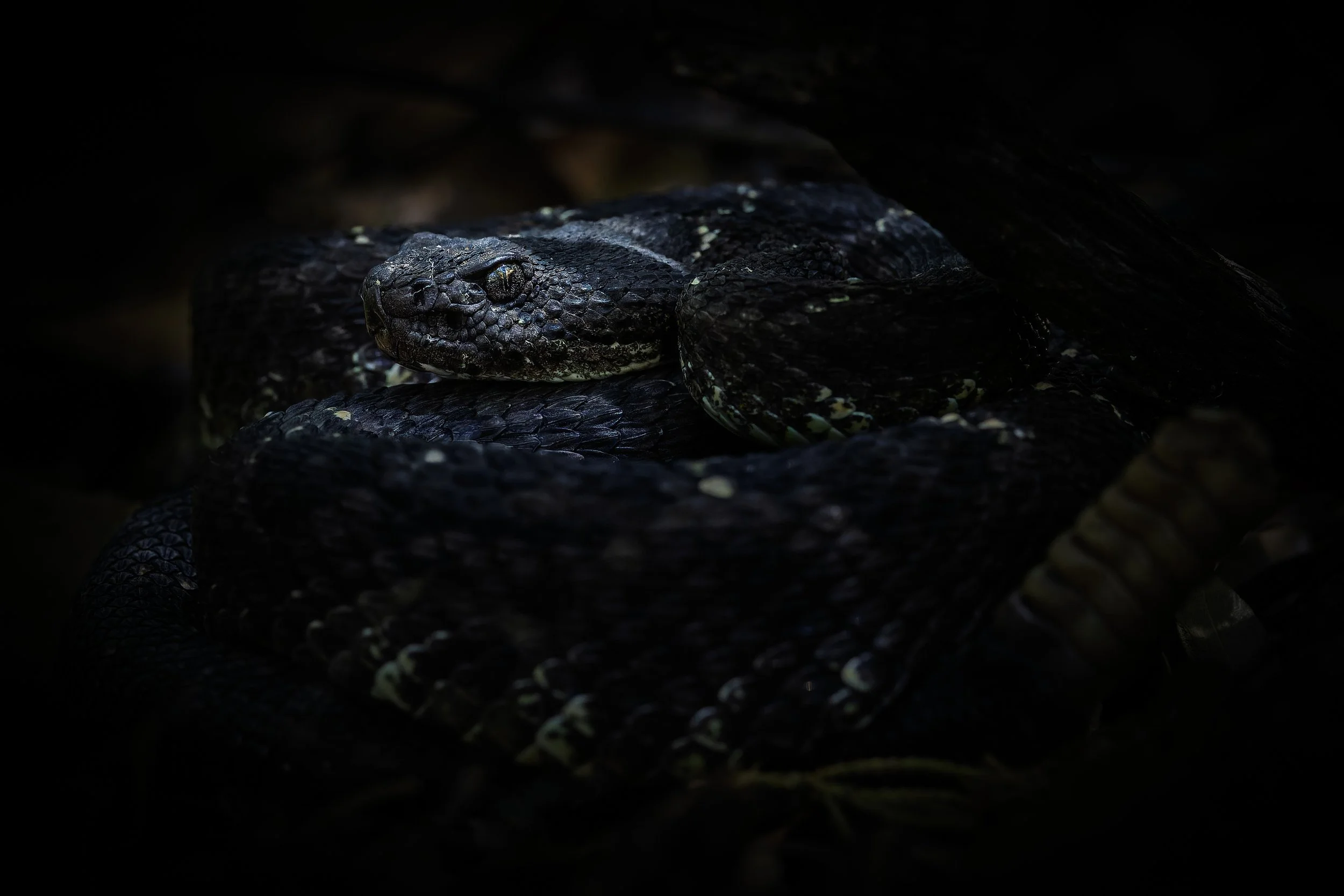 20240524- Peppersauce Canyon-4411-CR3_DxO_DeepPRIME.jpg