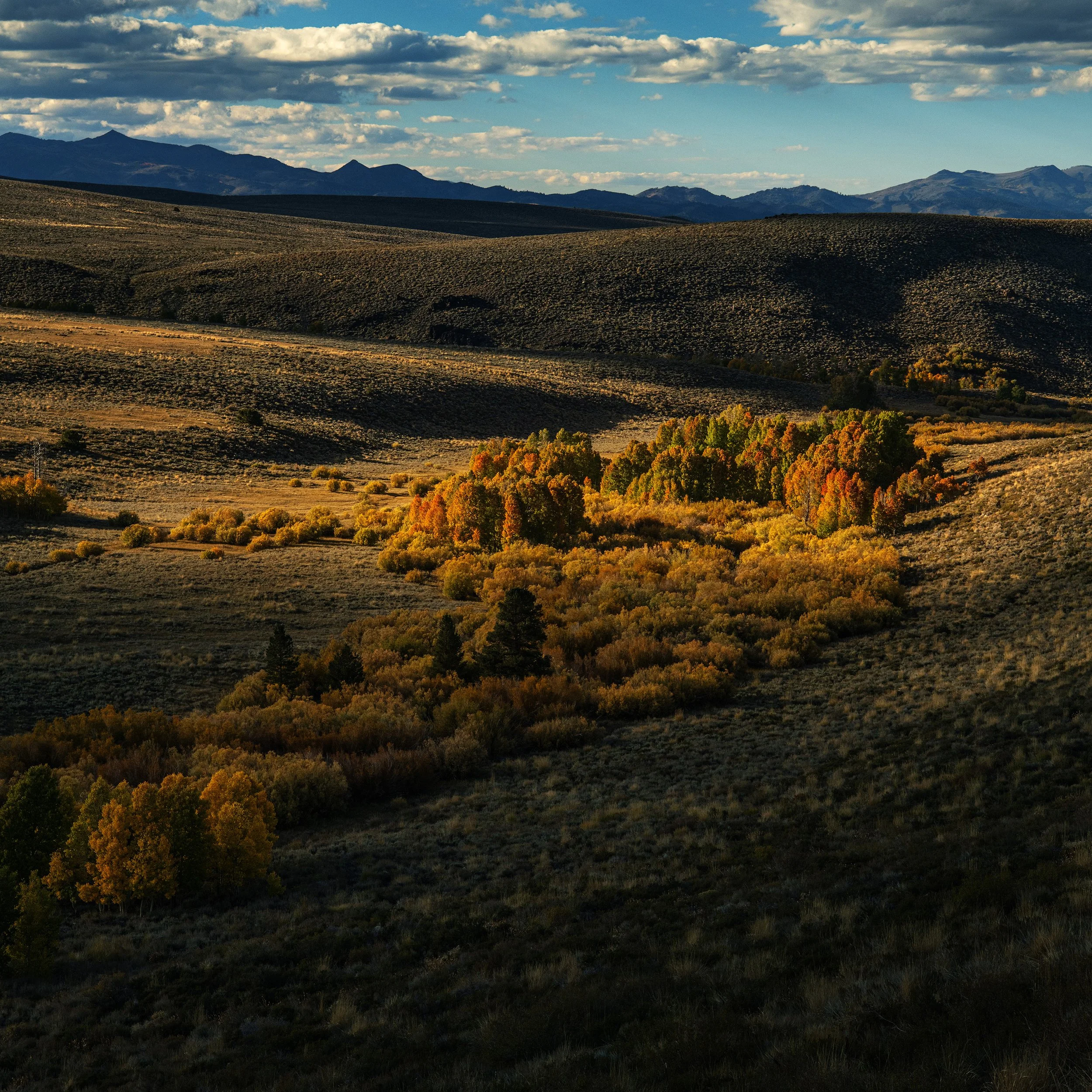 Afternoon light Eastern Sierras.jpg