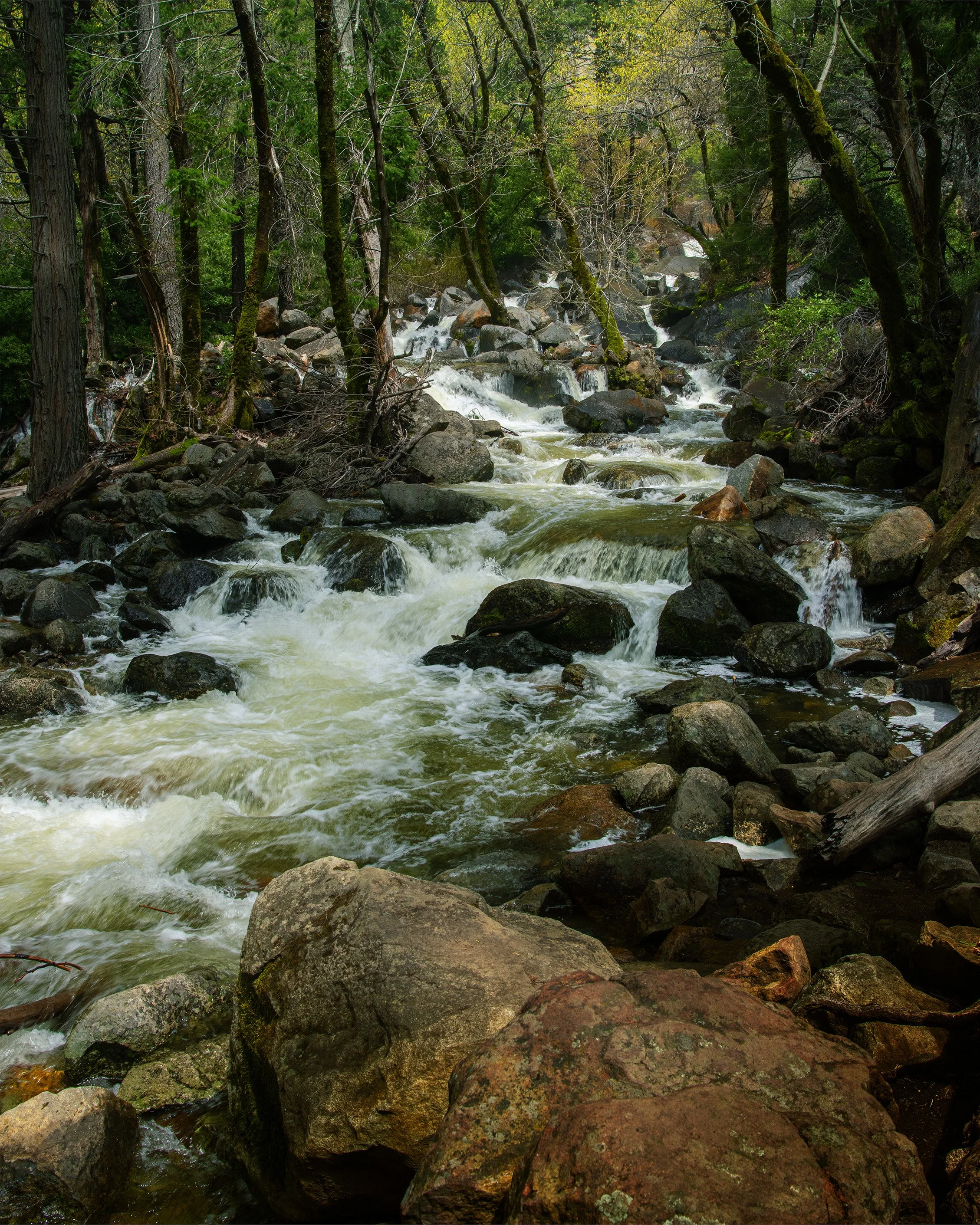 mountain stream Yosemite.jpg