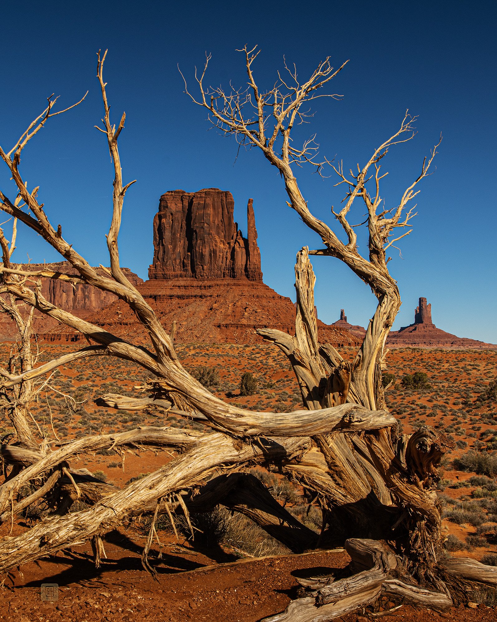 West Mitten Butte MV sml.jpg