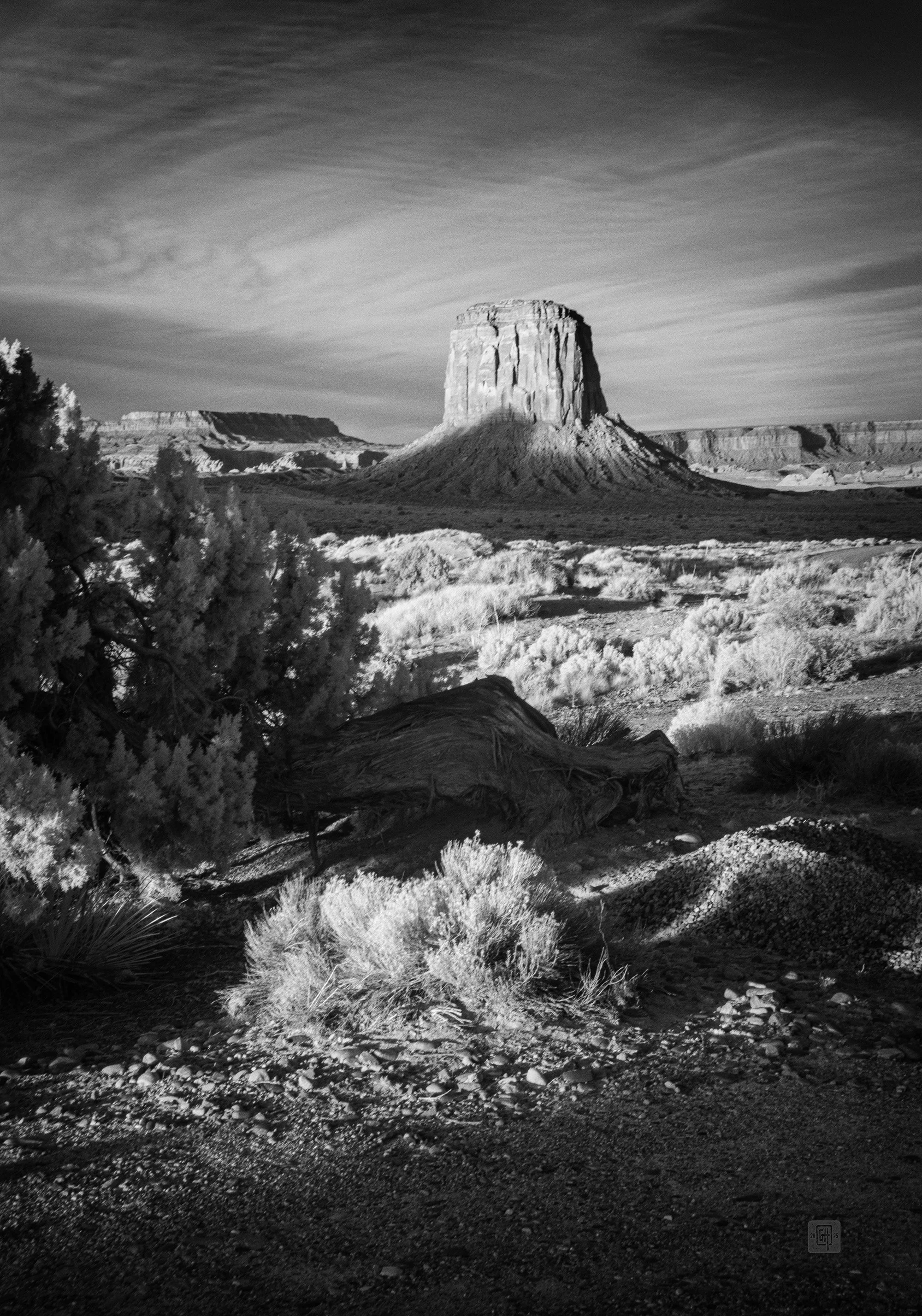 The Beauty of the Navajo Nation sml.jpg