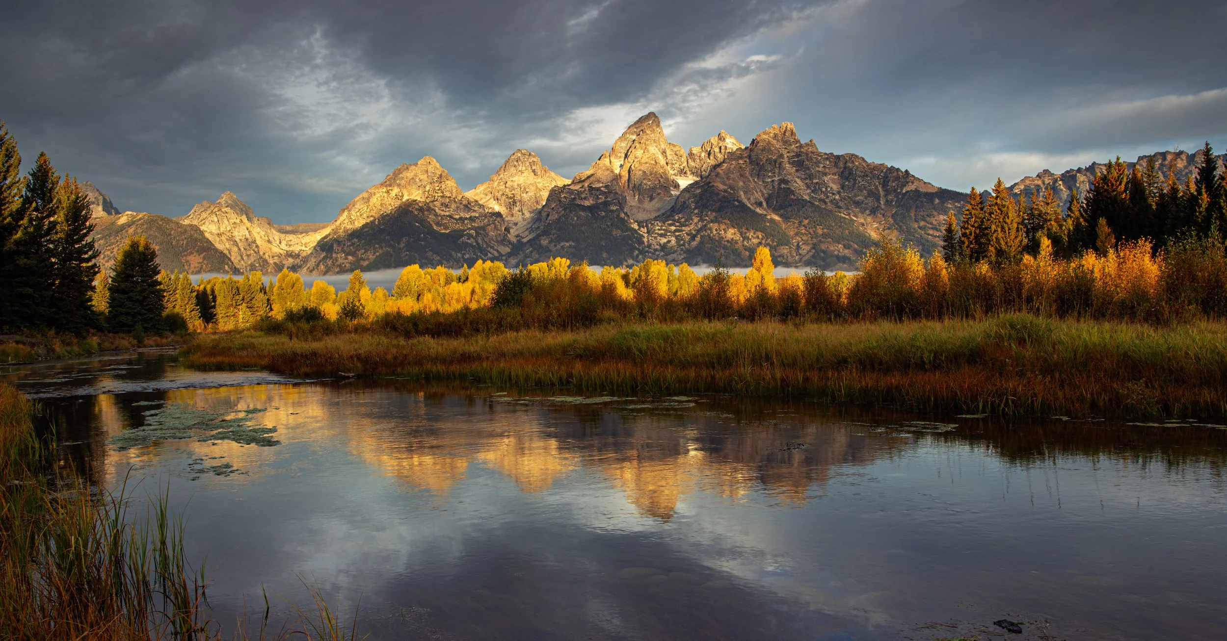 South of Shwabacher Landing 723AM.jpg