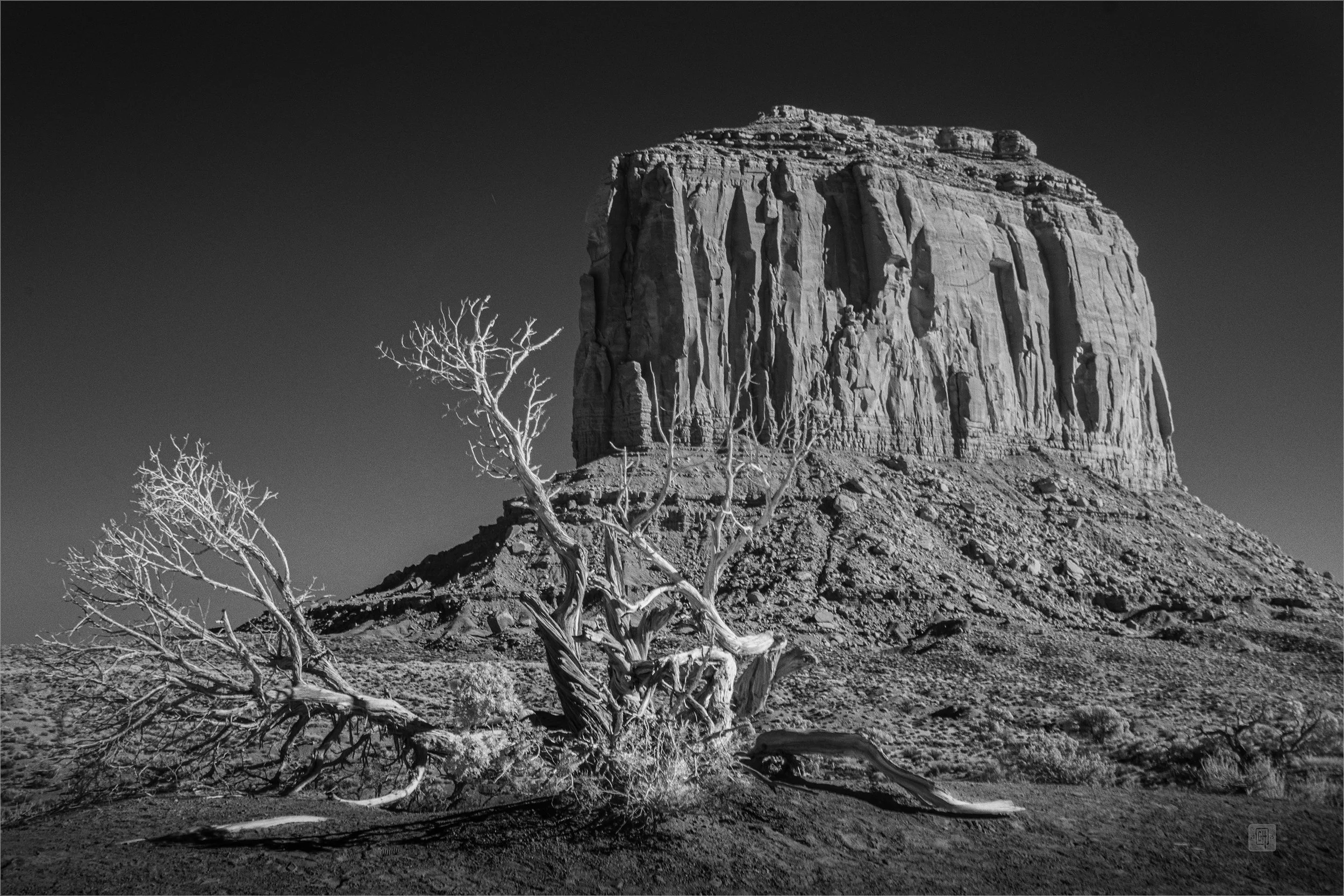 Merrick butte sml.jpg