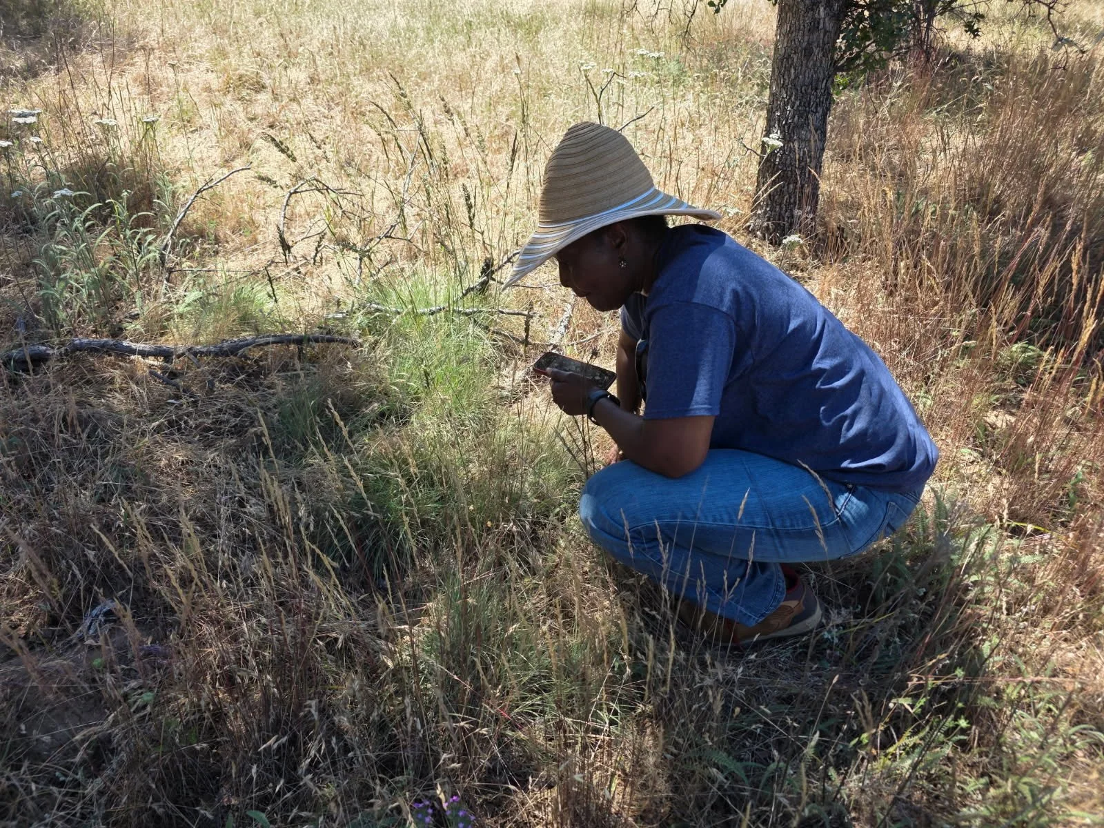 Why We Wrote a Paper About Native Plants and Wildfire