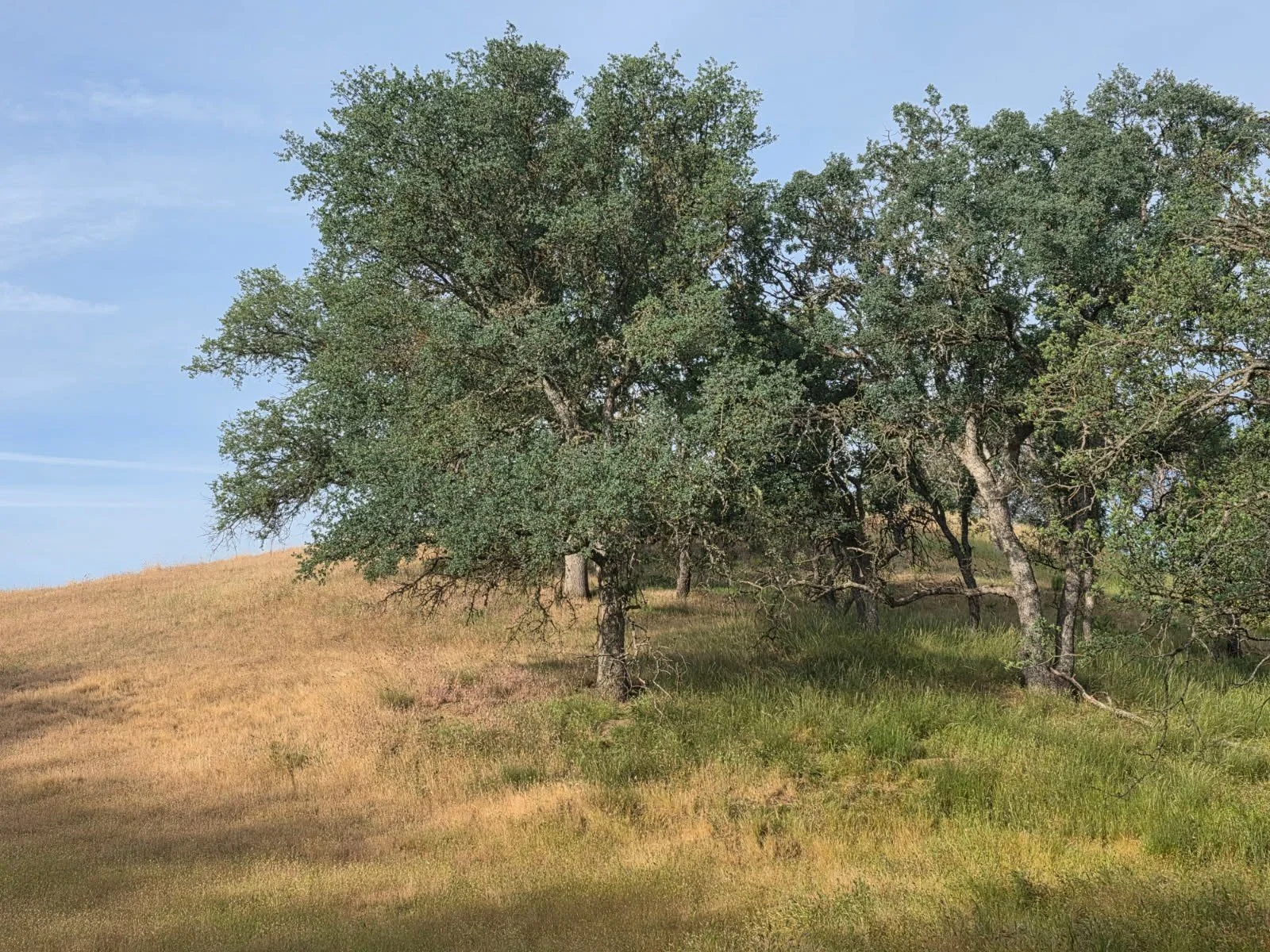 Line between south and north.jpg