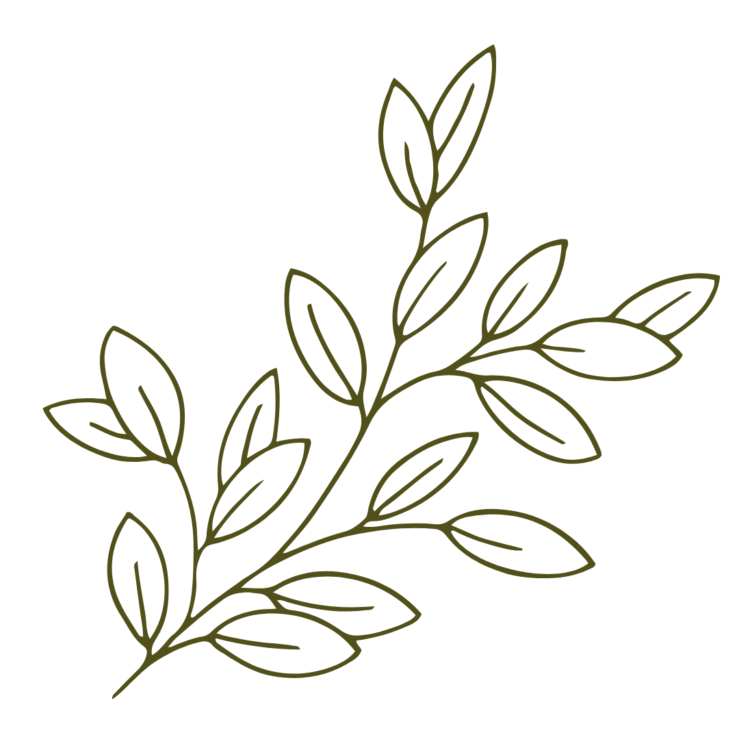 Plant-illustration