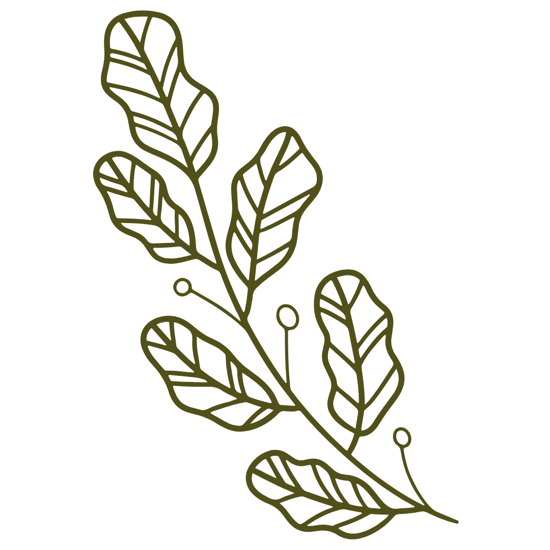 Plant-illustration