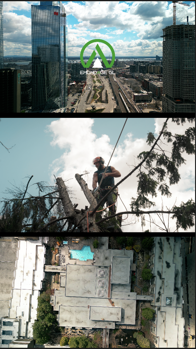 Capture d’écran, le 2024-04-27 à 5.35.53 p.m..PNG