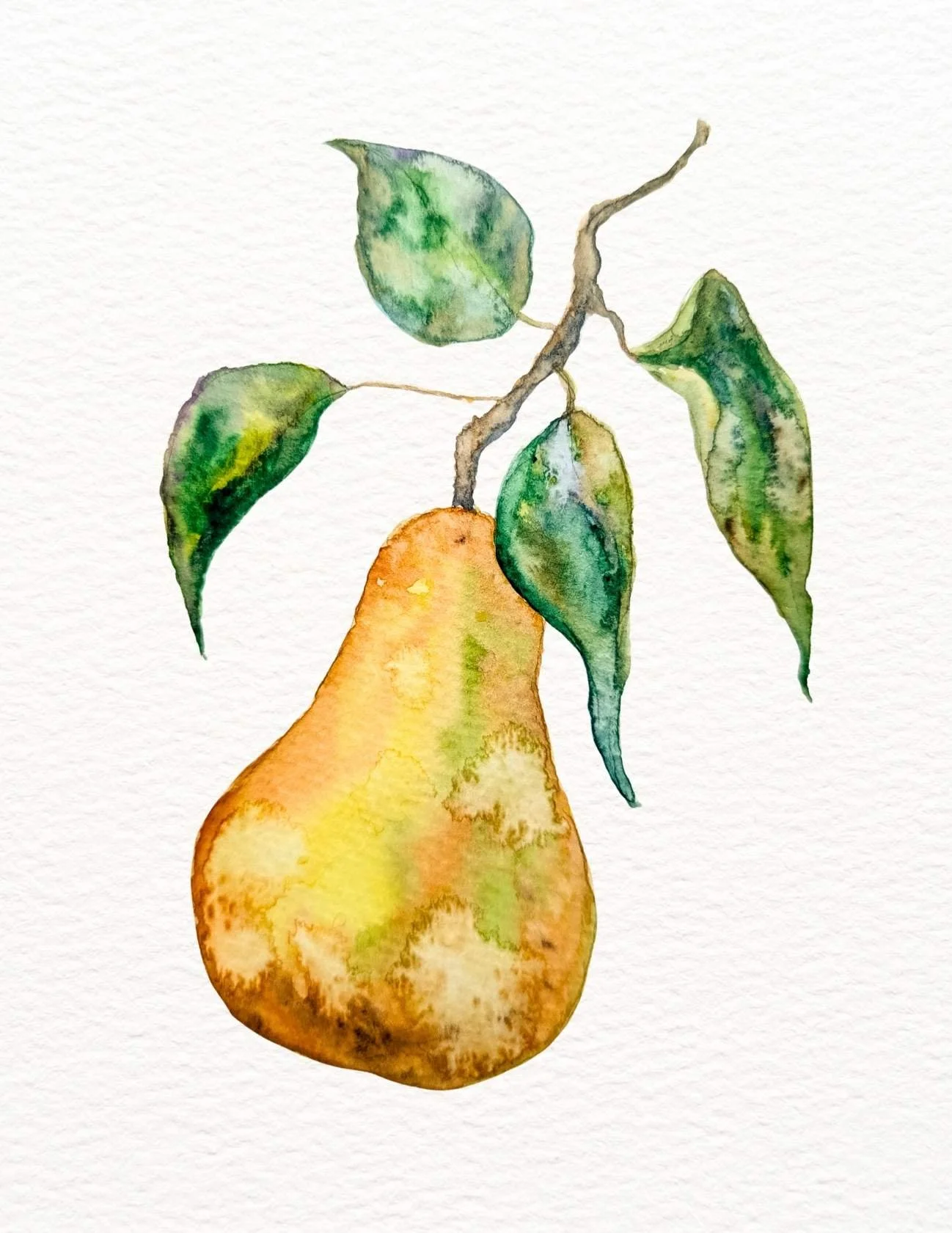 pear_watercolor.jpg