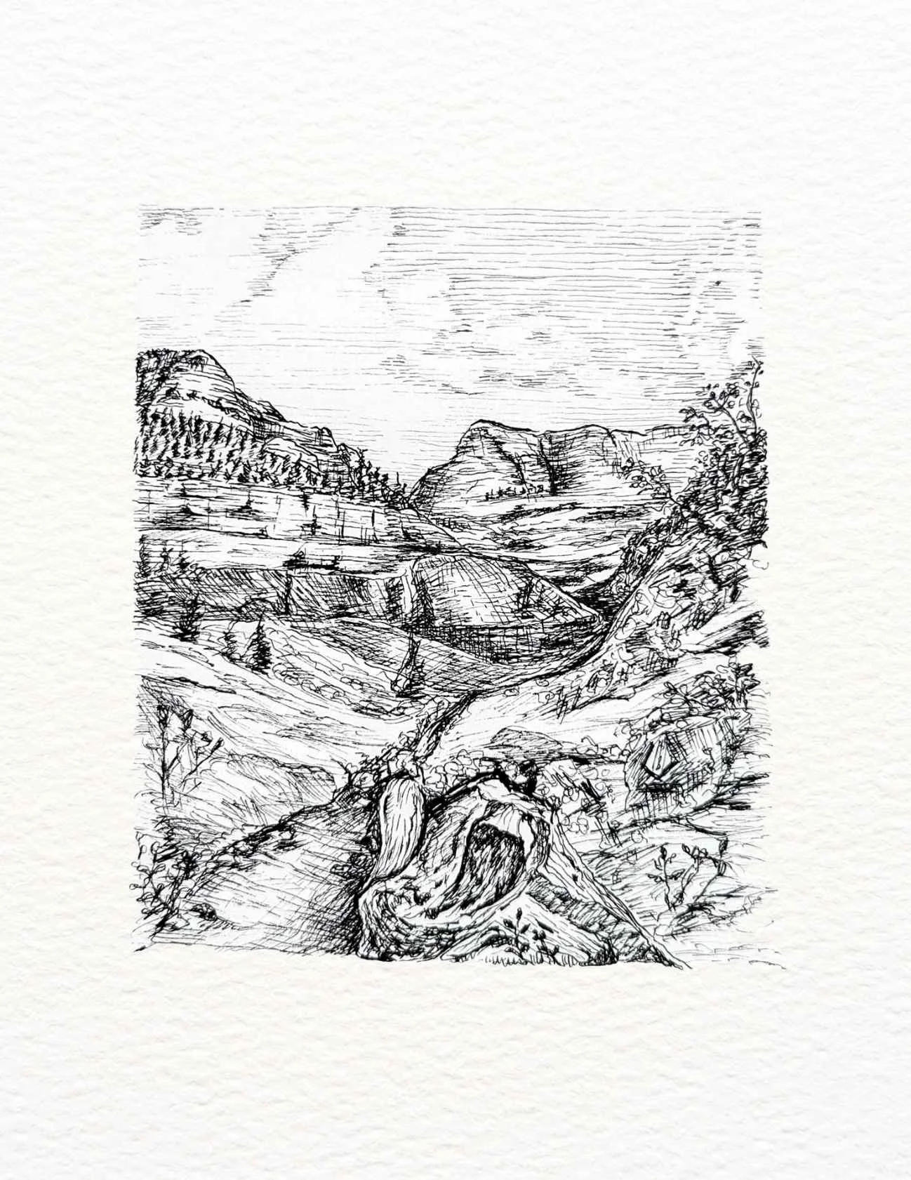 ink hike drawing.jpg
