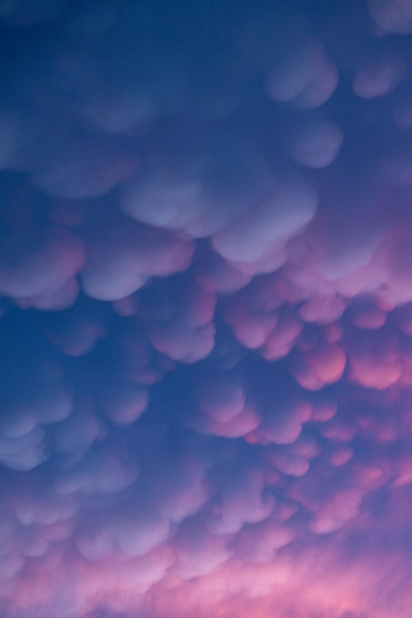 Untitled-375.jpg