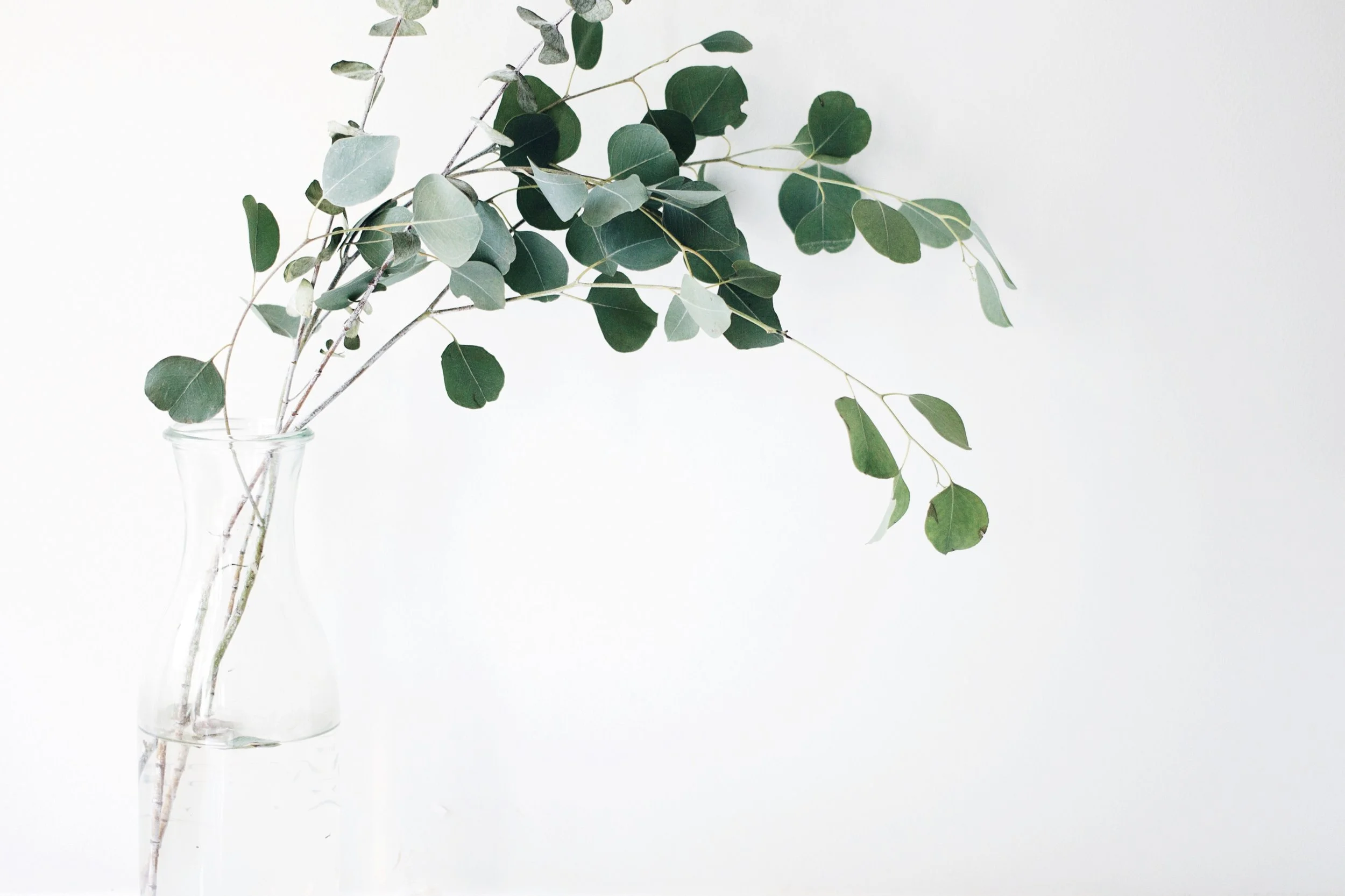 Semi Private Breathwork Sessions